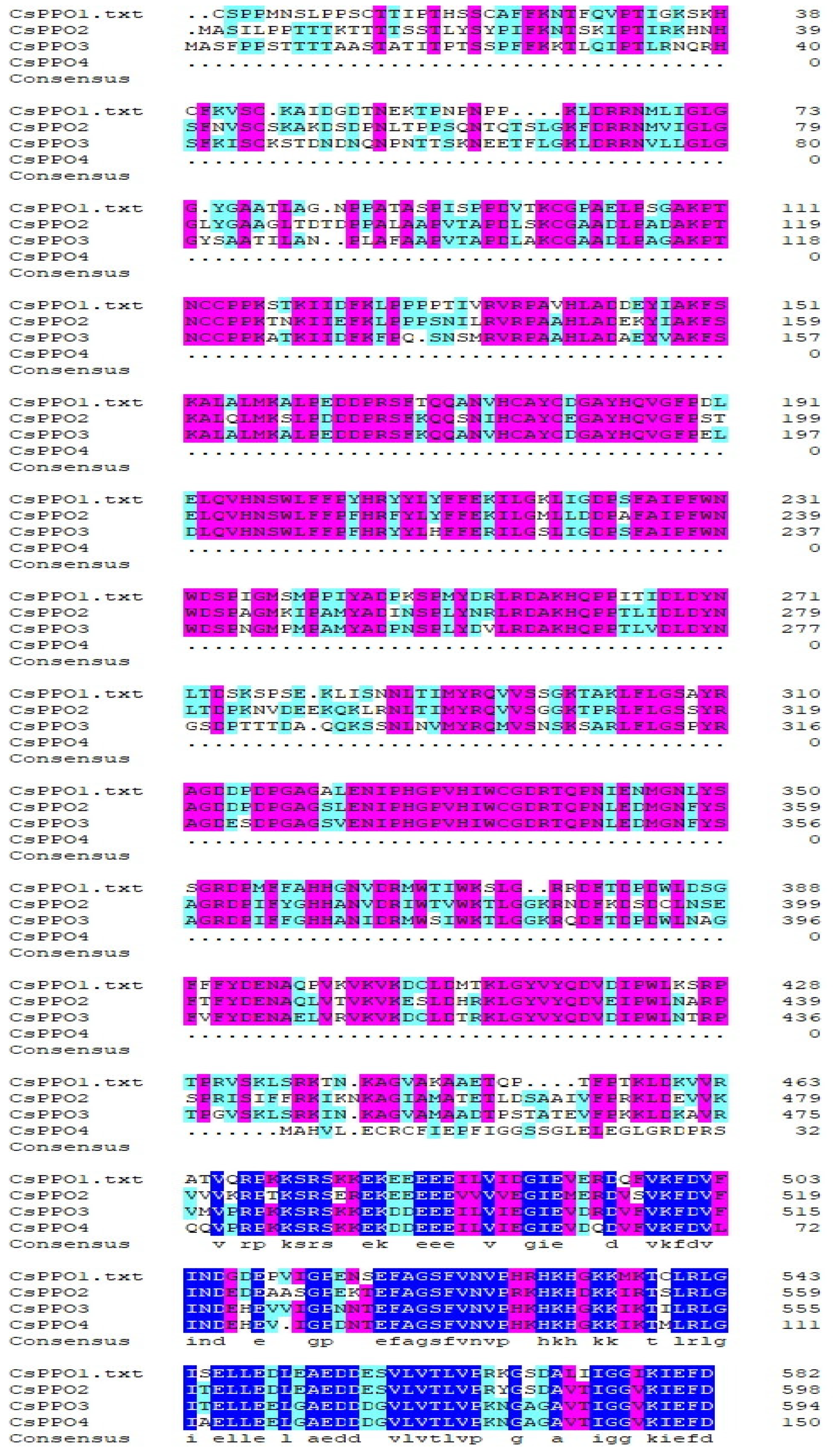 Fermentation 09 00770 g005