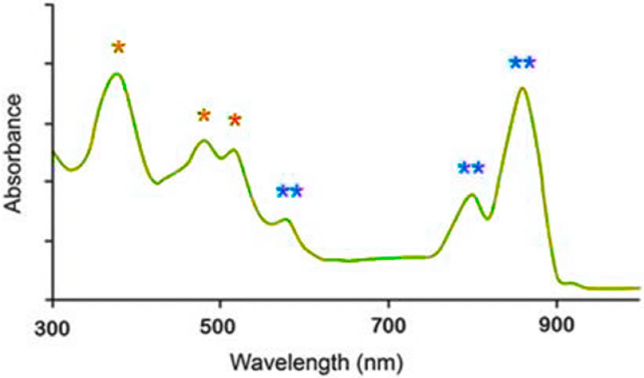 Fermentation 09 00778 g003
