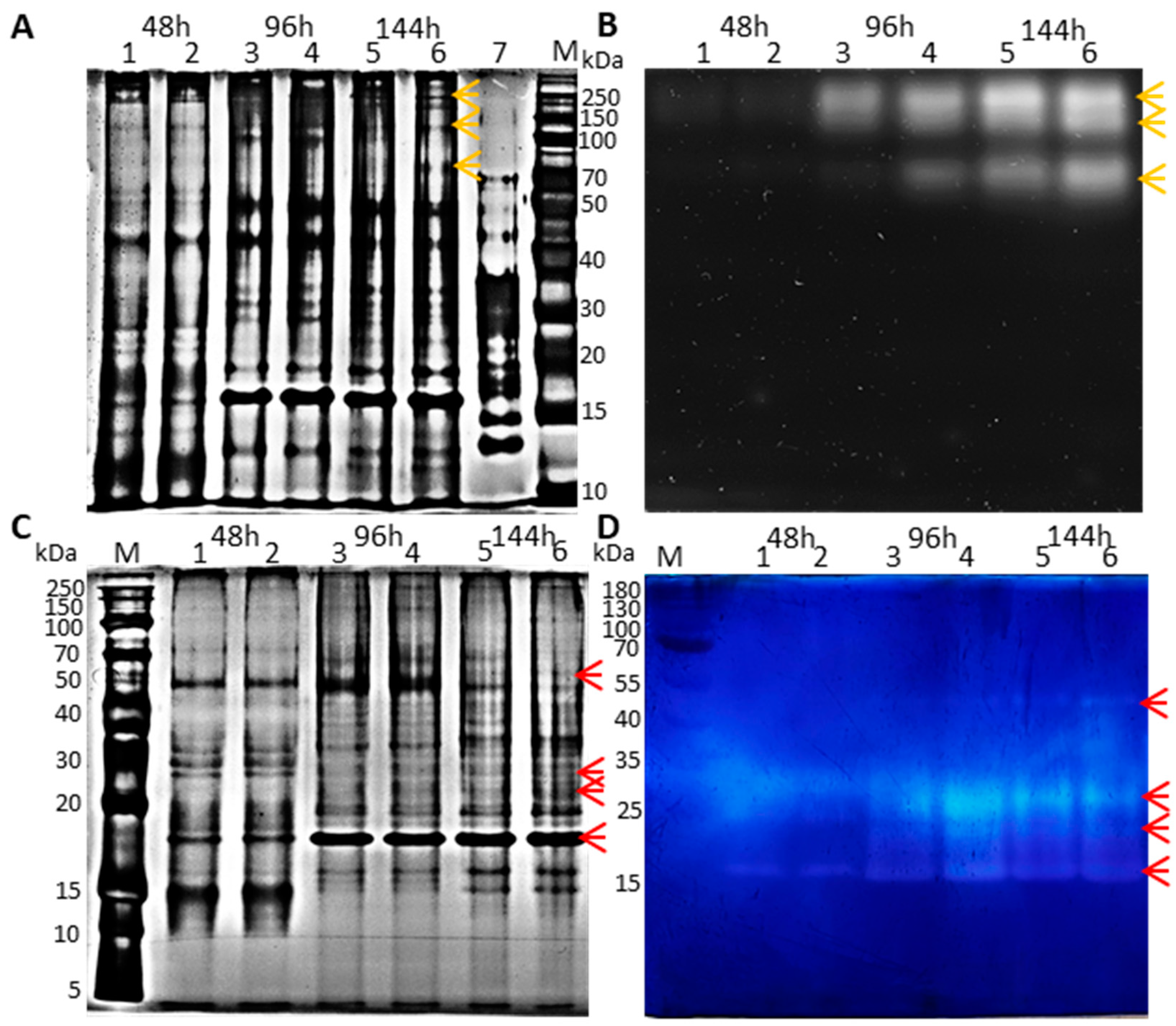 Fermentation 09 00780 g005 Fermentation 09 00780 g005