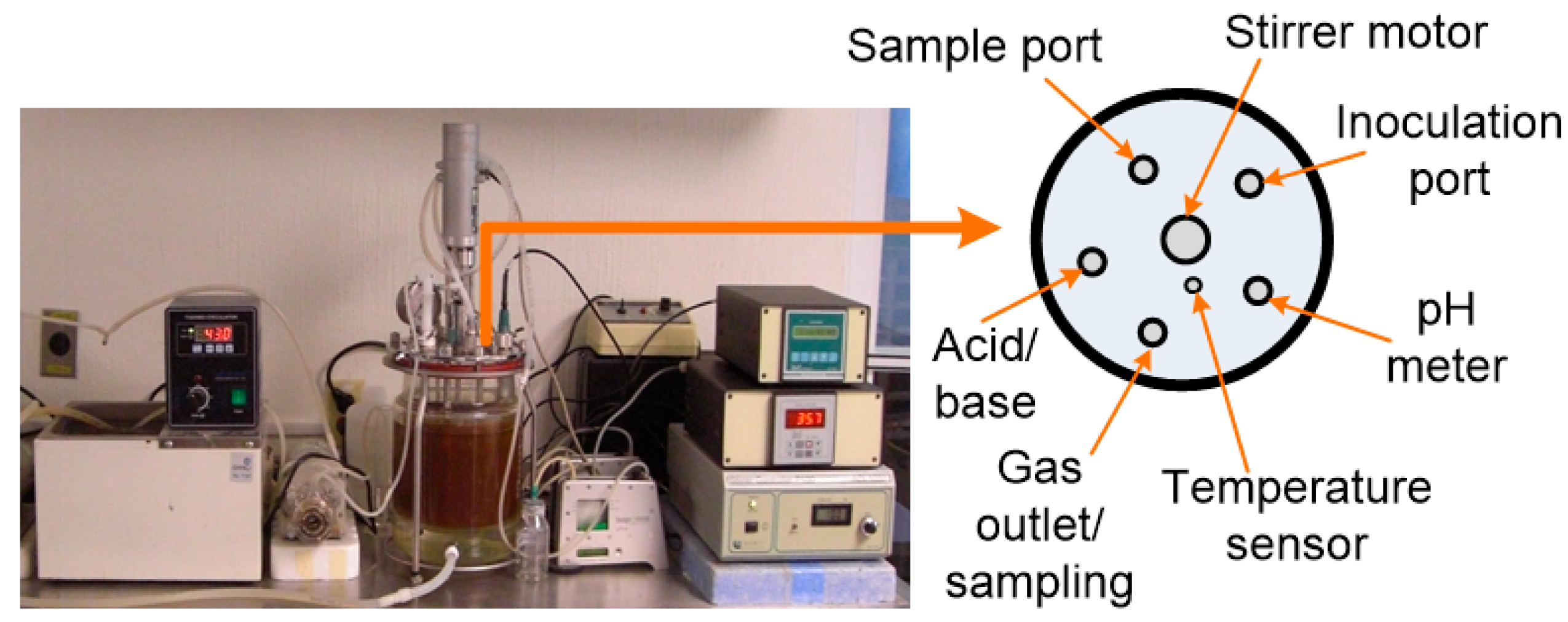 Fermentation 09 00787 g001