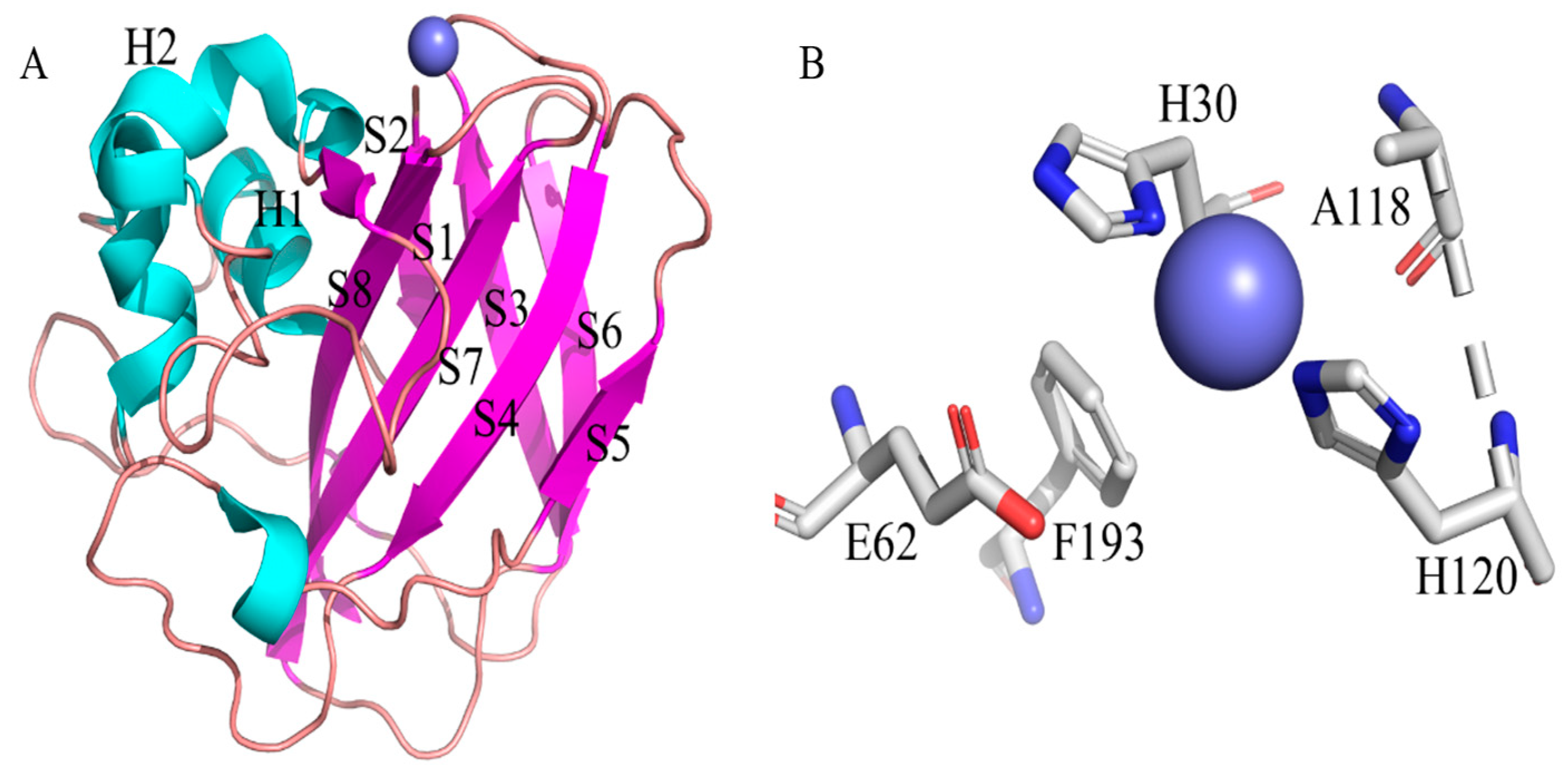 Fermentation 09 00795 g001