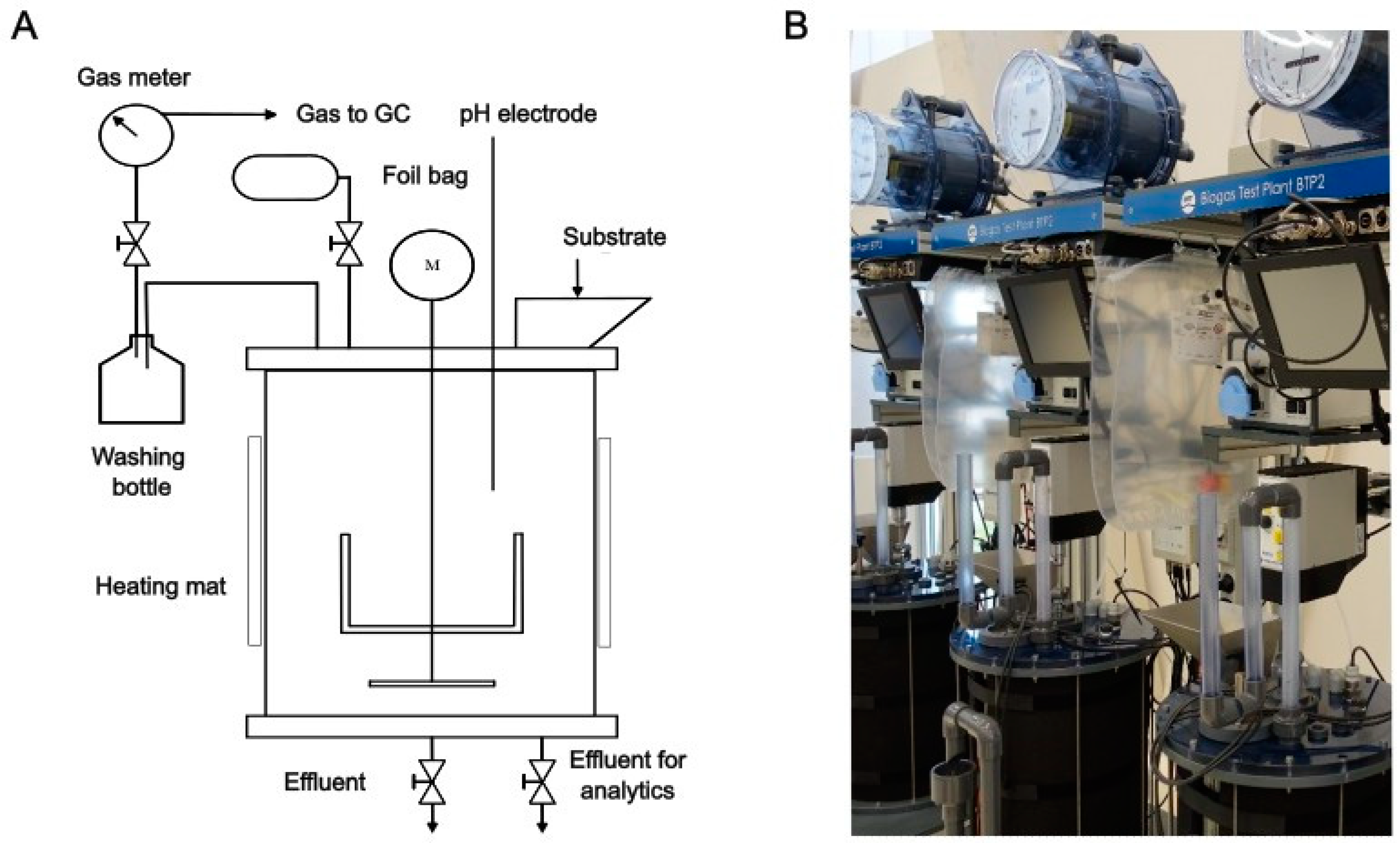 Fermentation 09 00798 g001