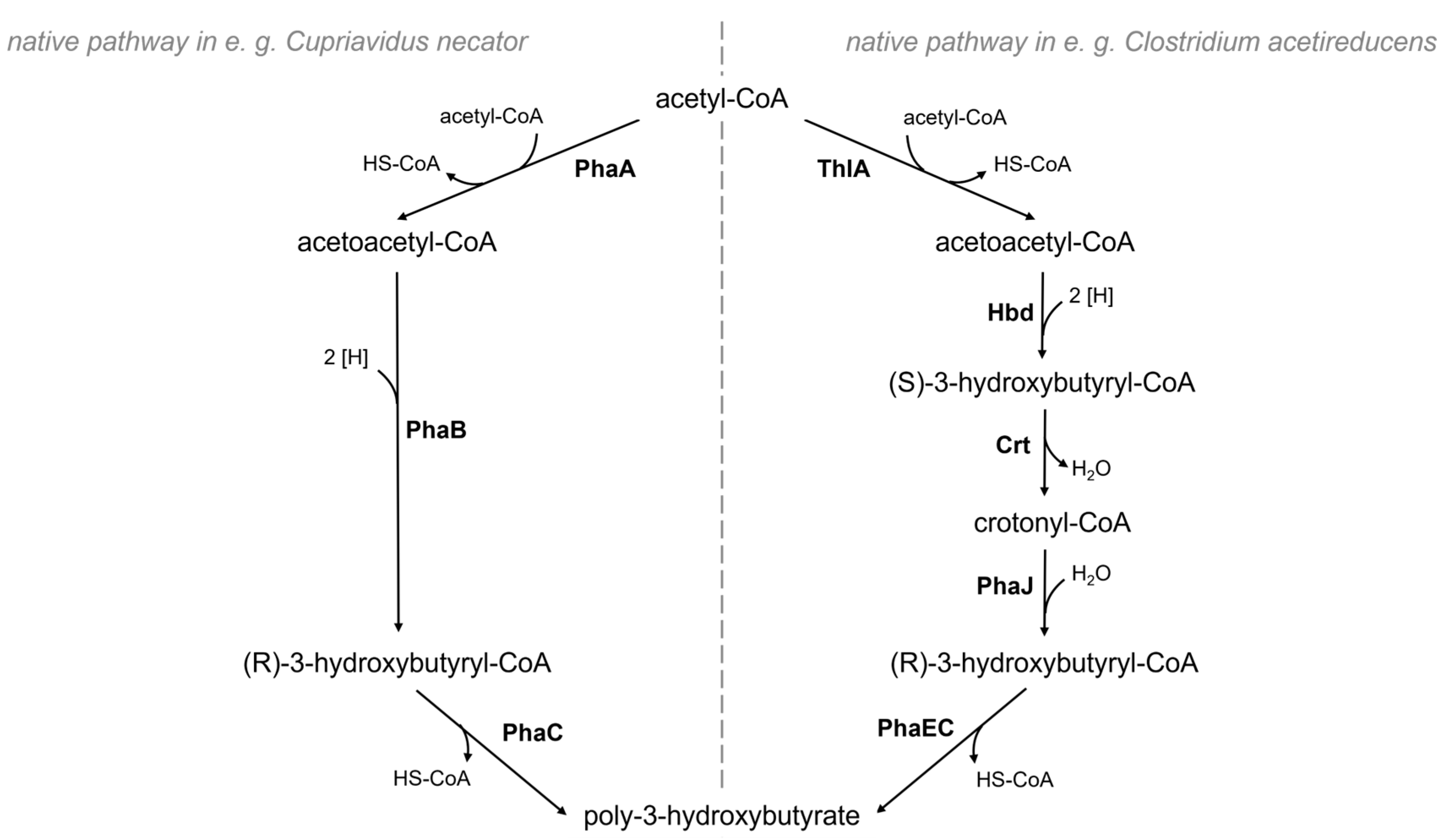 Fermentation 09 00799 g006