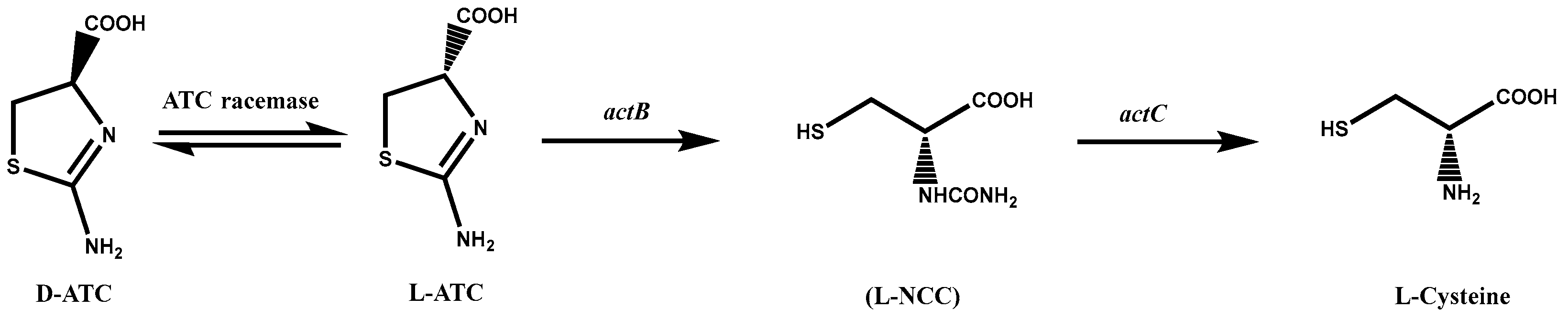 Fermentation 09 00802 g001