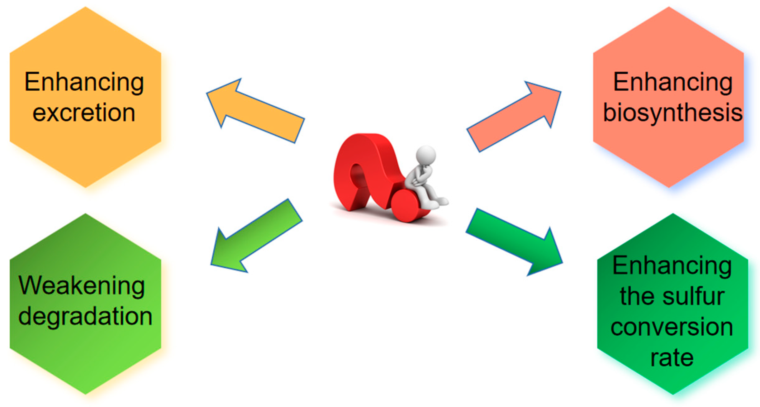 Fermentation 09 00802 g003