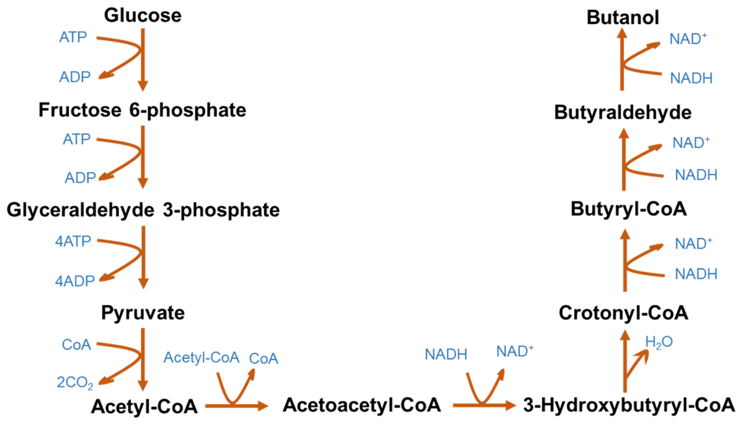 Fermentation 09 00813 g004