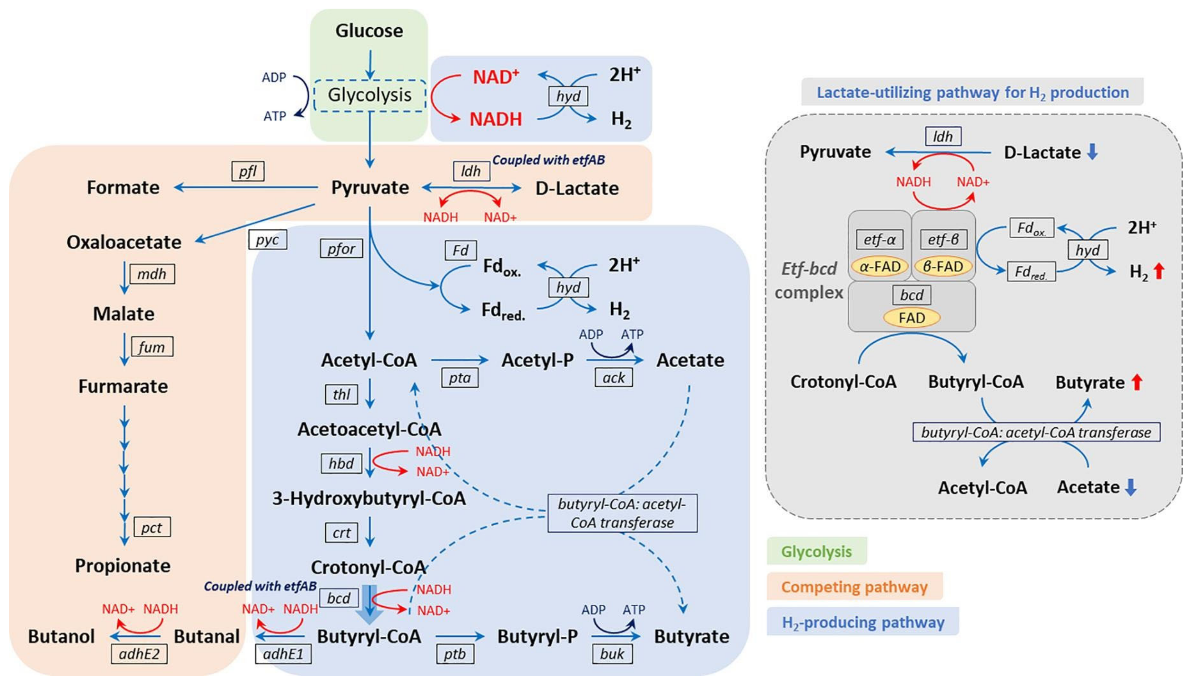 Fermentation 09 00813 g006