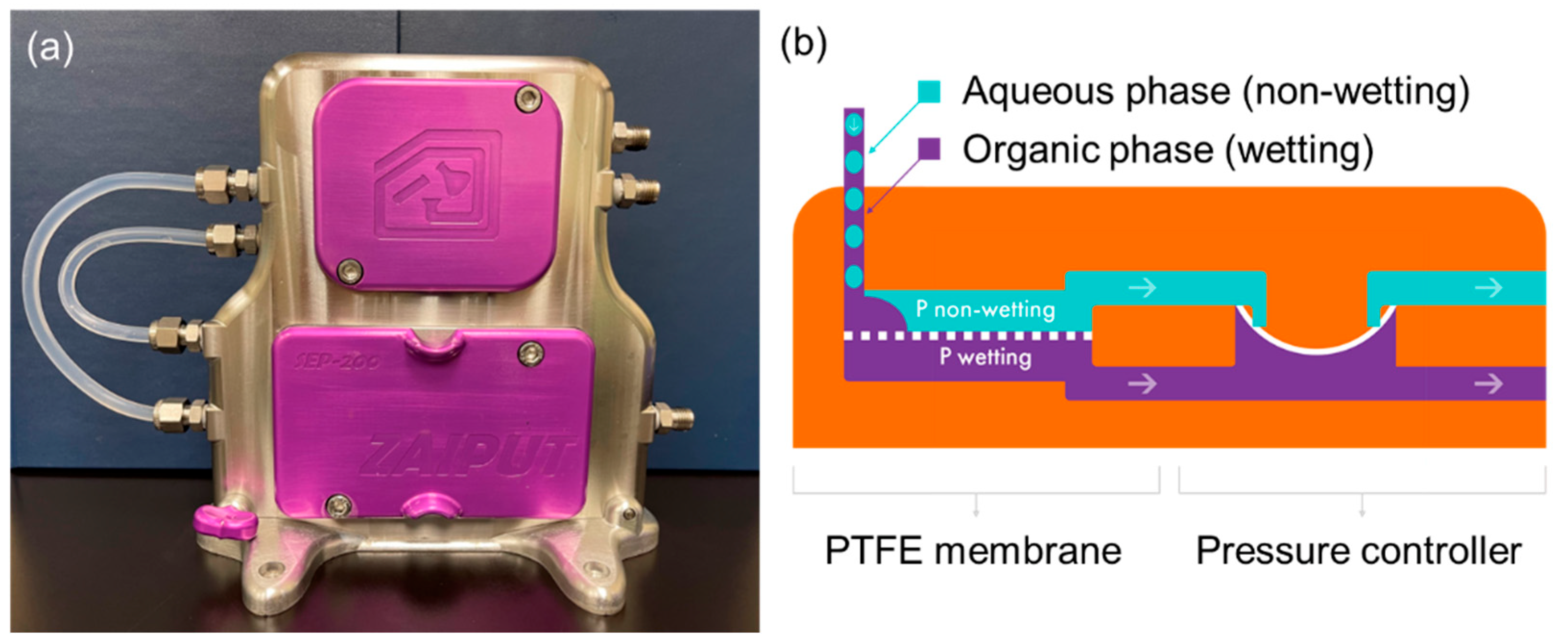 Fermentation 09 00821 g006