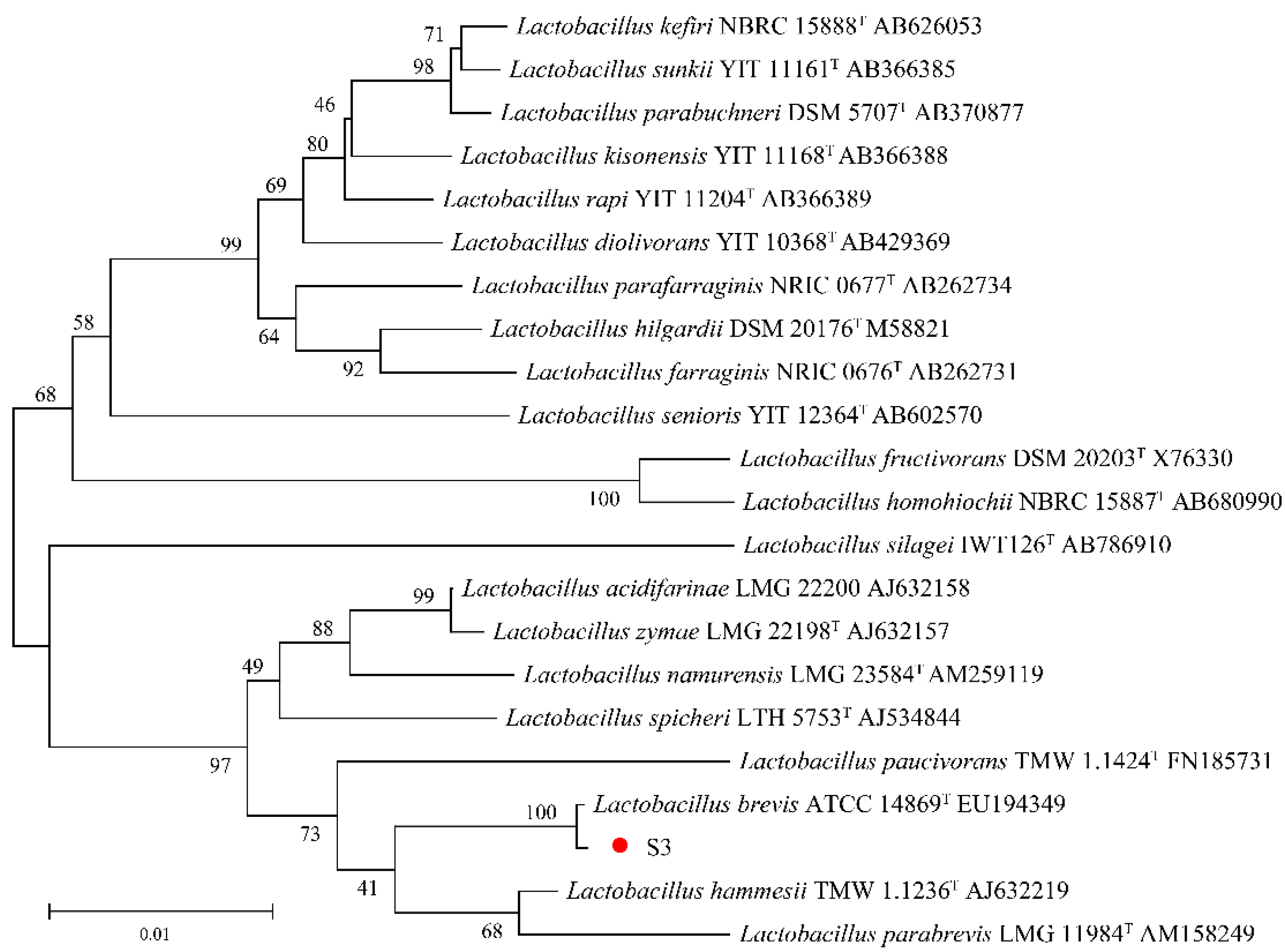 Fermentation 09 00829 g003