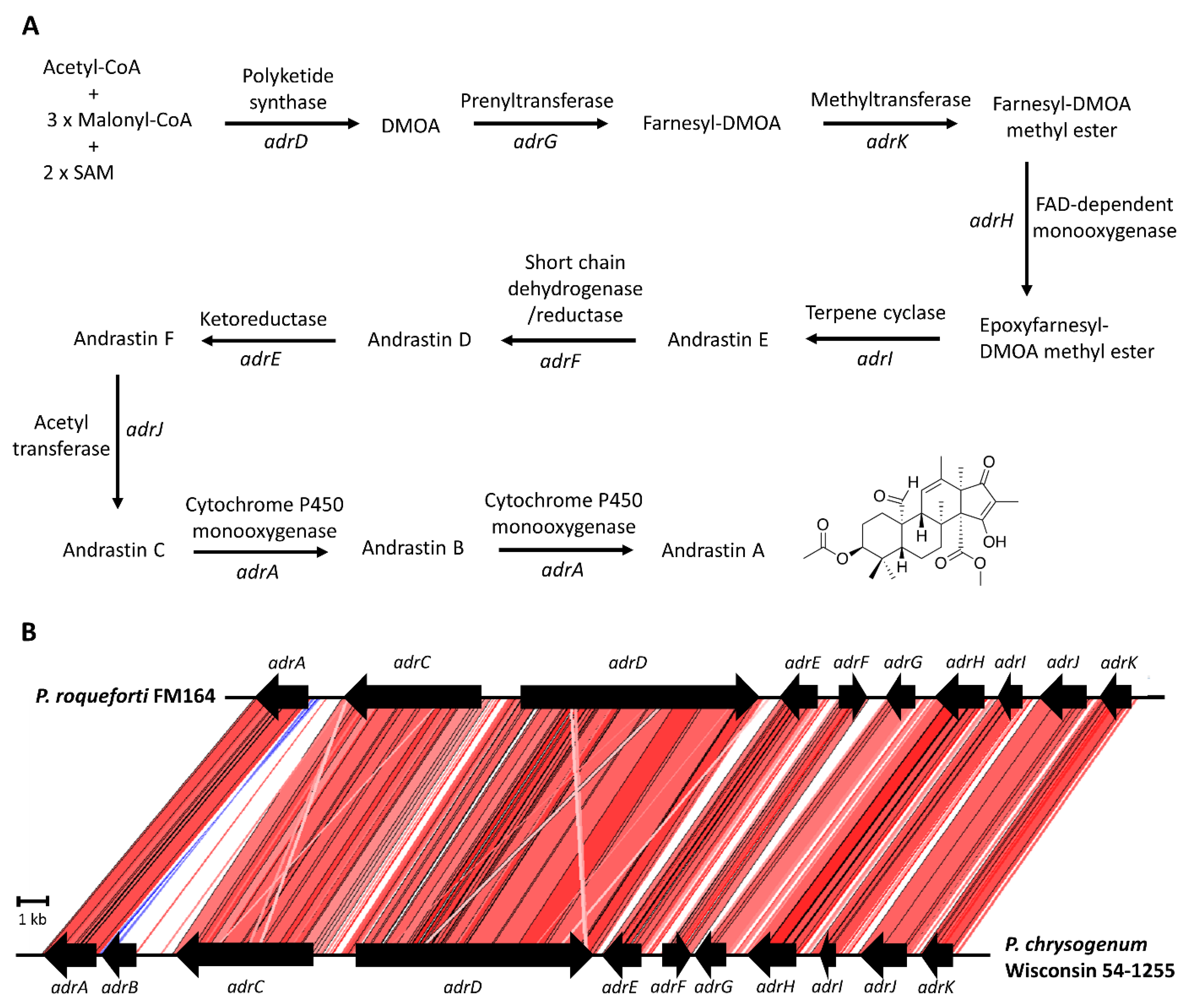 Fermentation 09 00836 g004