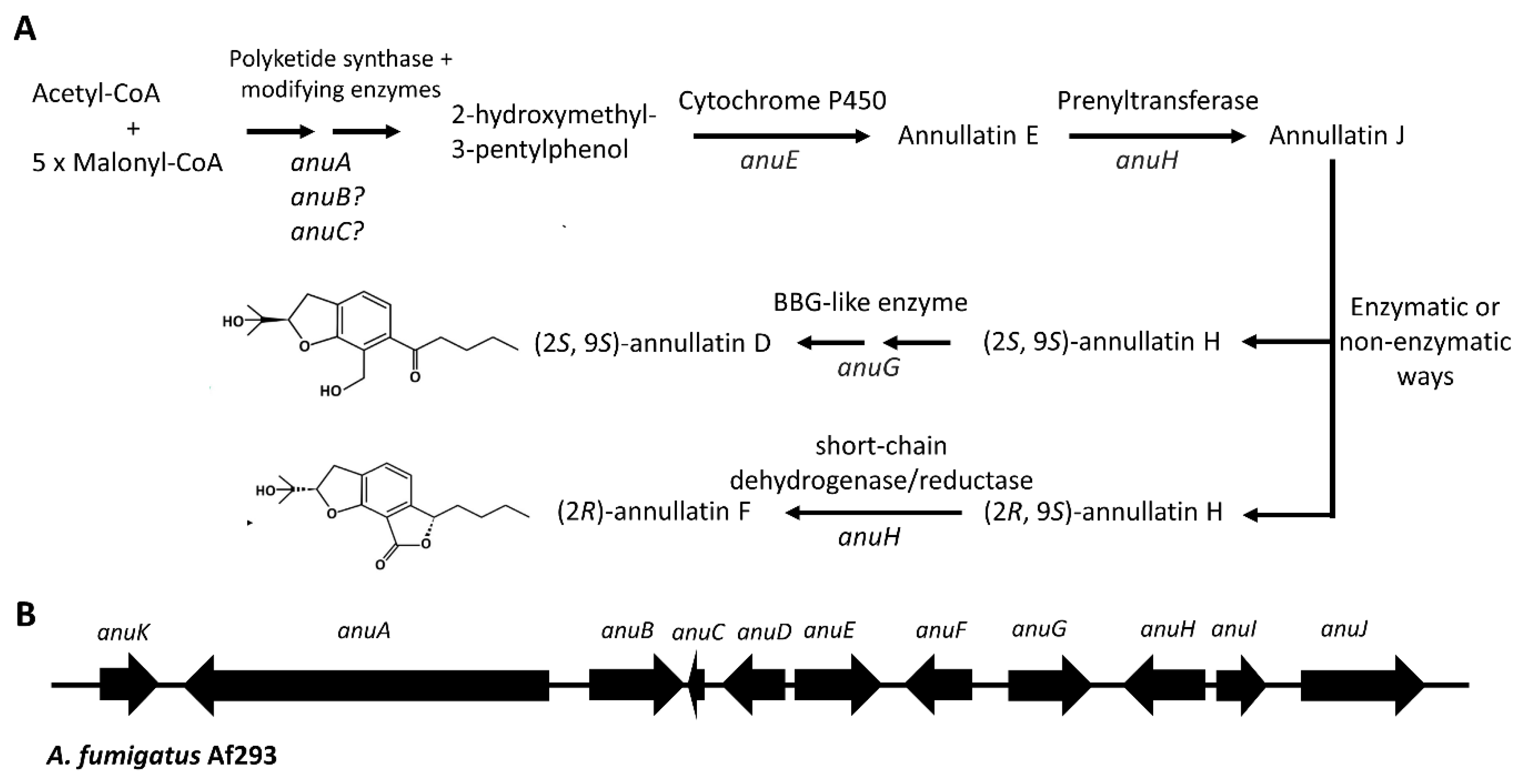Fermentation 09 00836 g008