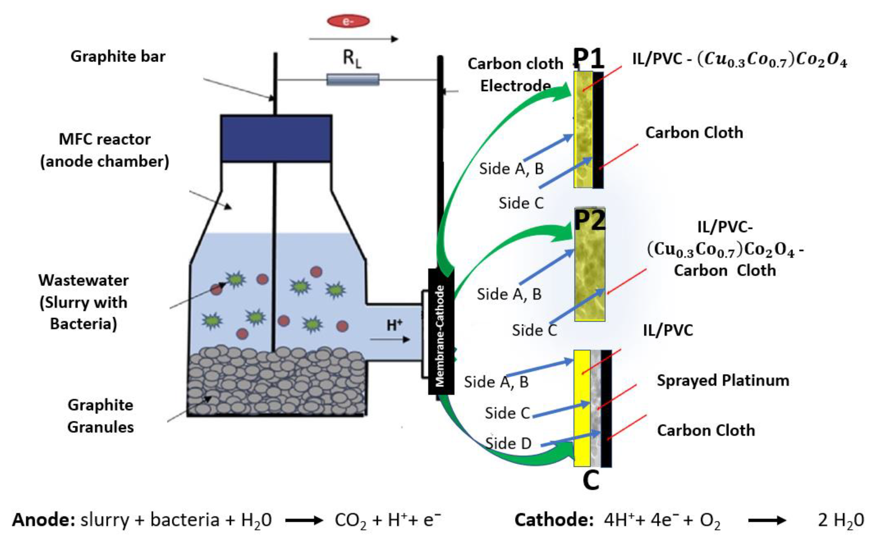 Fermentation 09 00844 g001