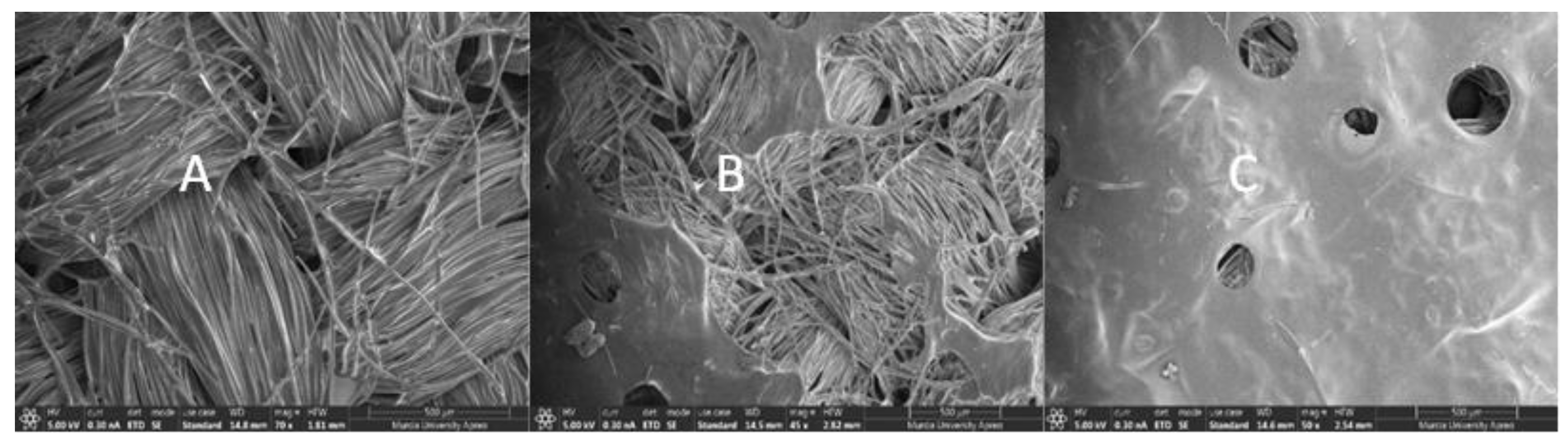 Fermentation 09 00844 g0a1