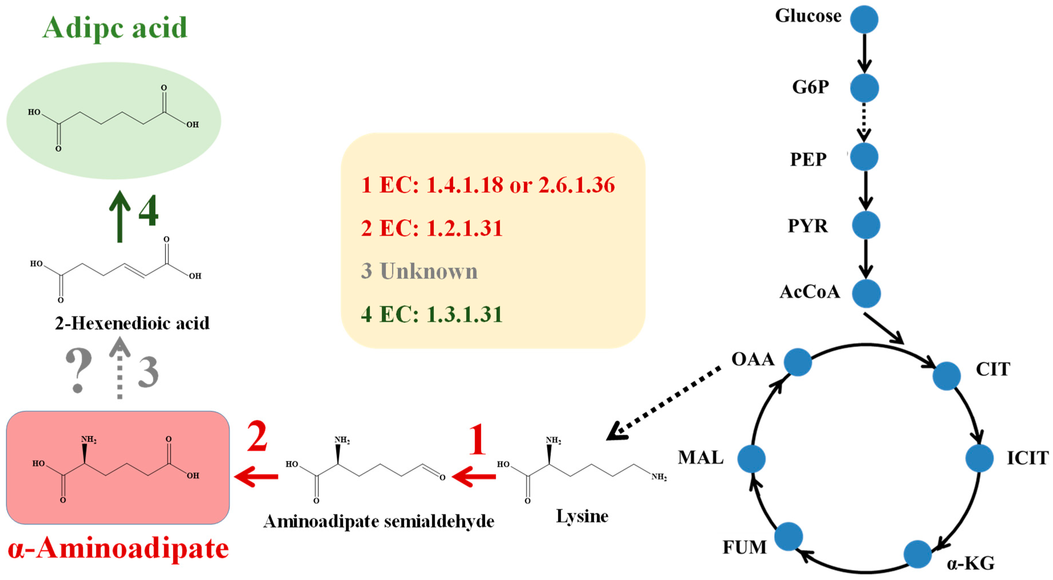 Fermentation 09 00859 g001 Fermentation 09 00859 g001