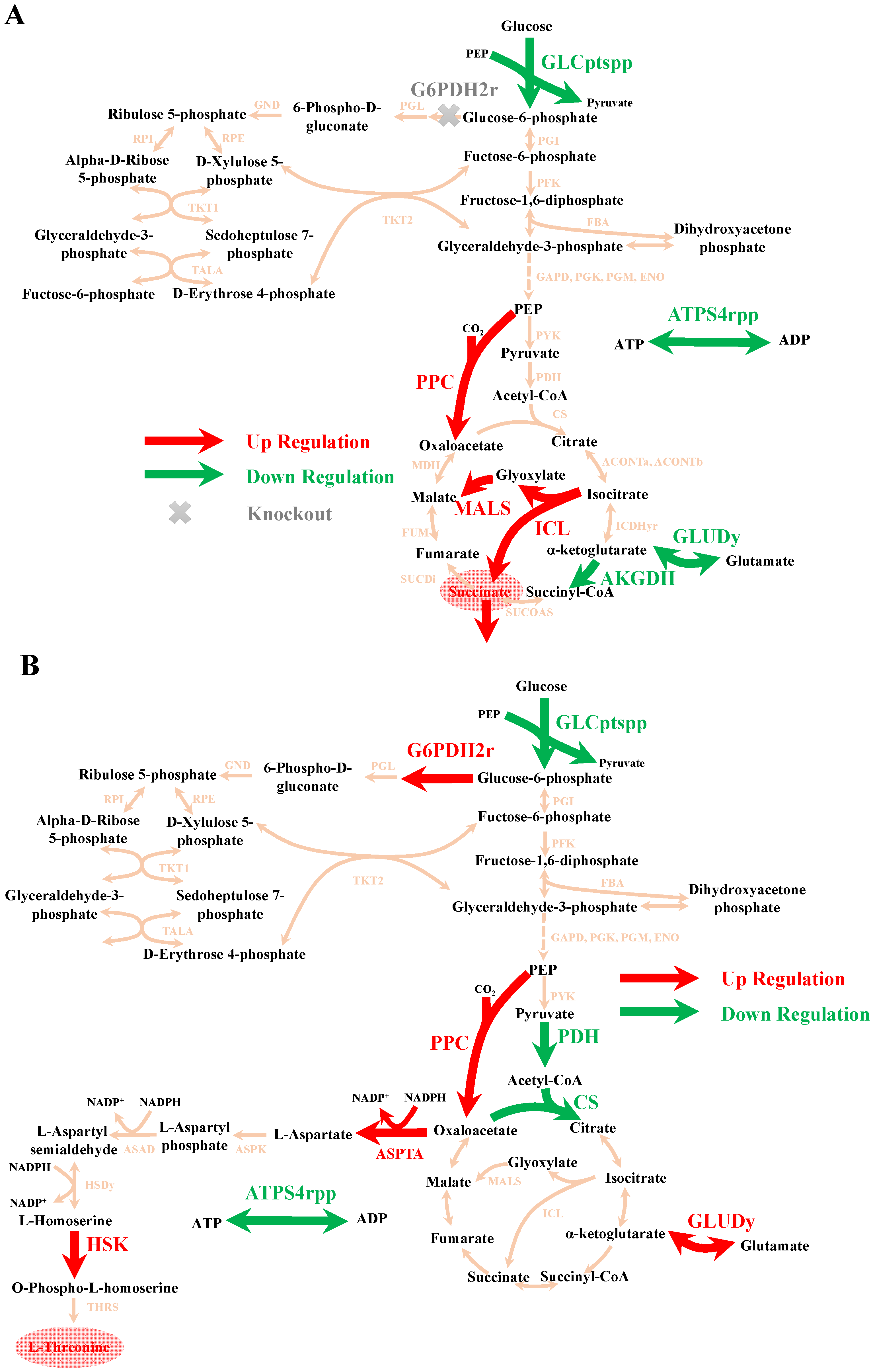 Fermentation 09 00859 g002 Fermentation 09 00859 g002