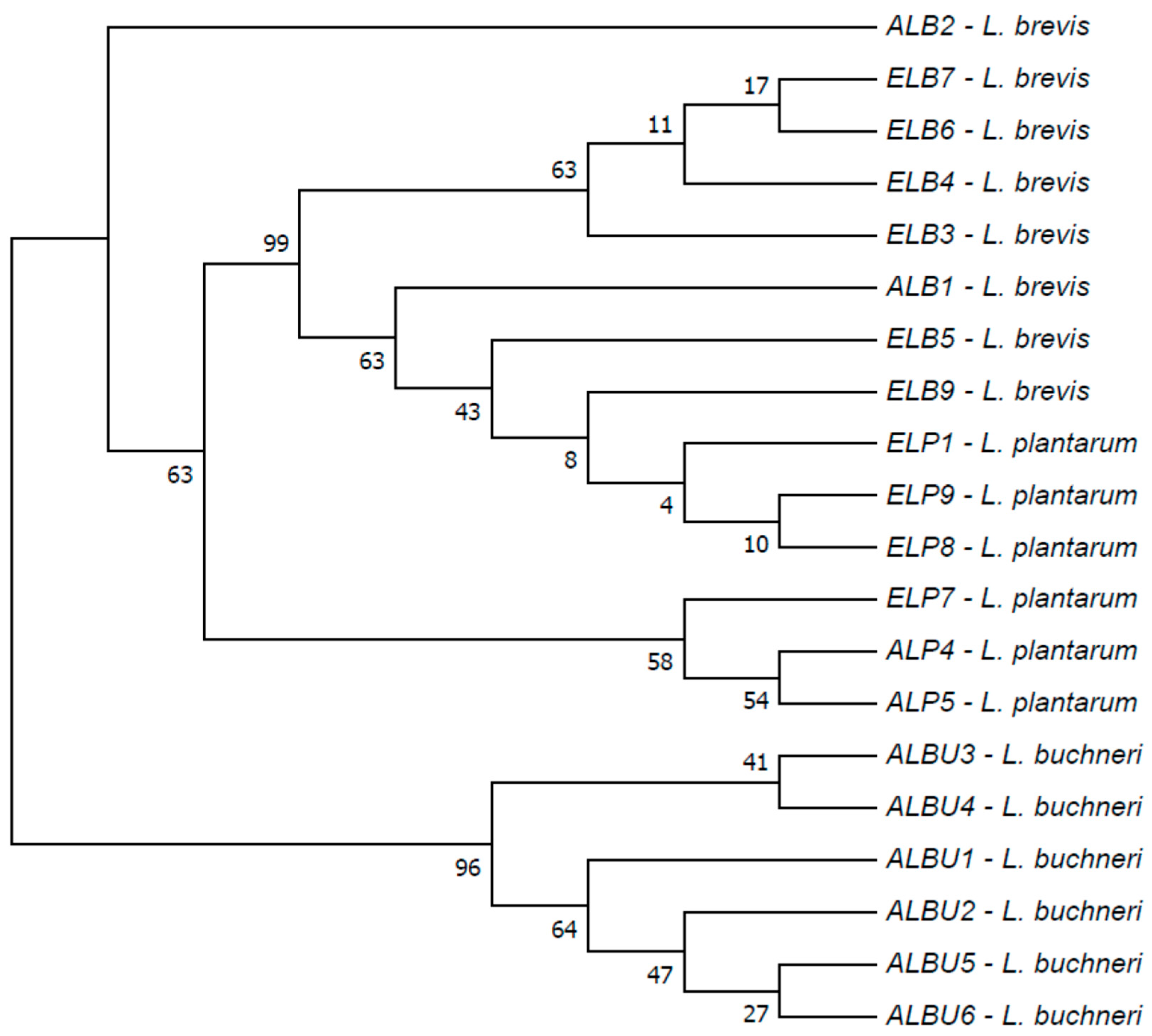 Fermentation 09 00862 g008