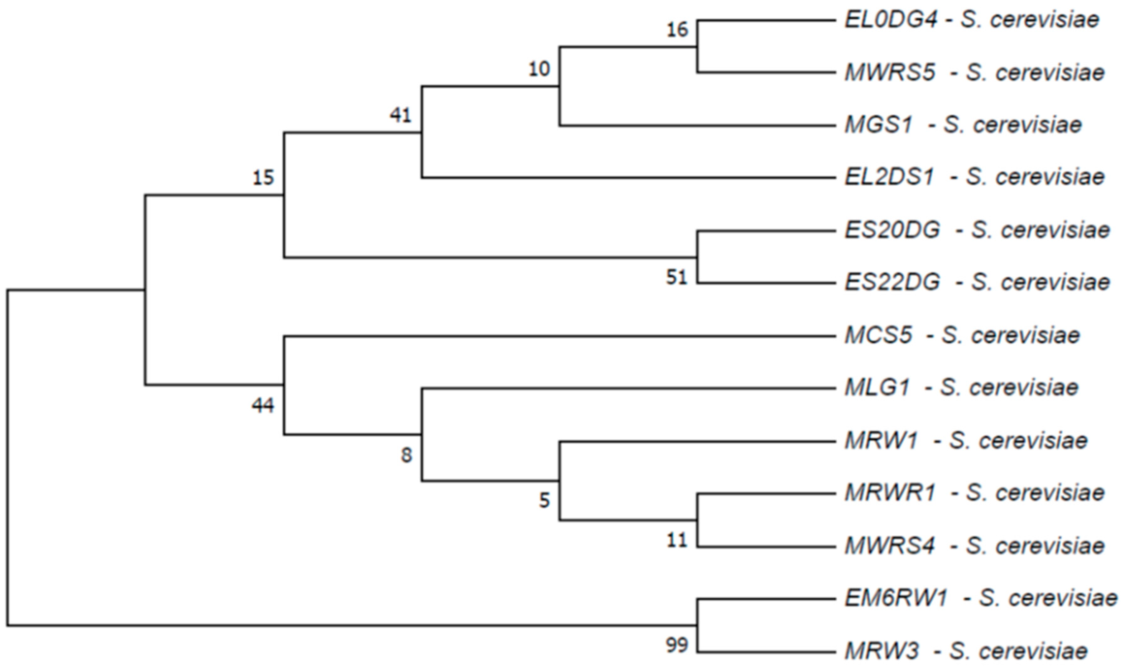 Fermentation 09 00862 g009