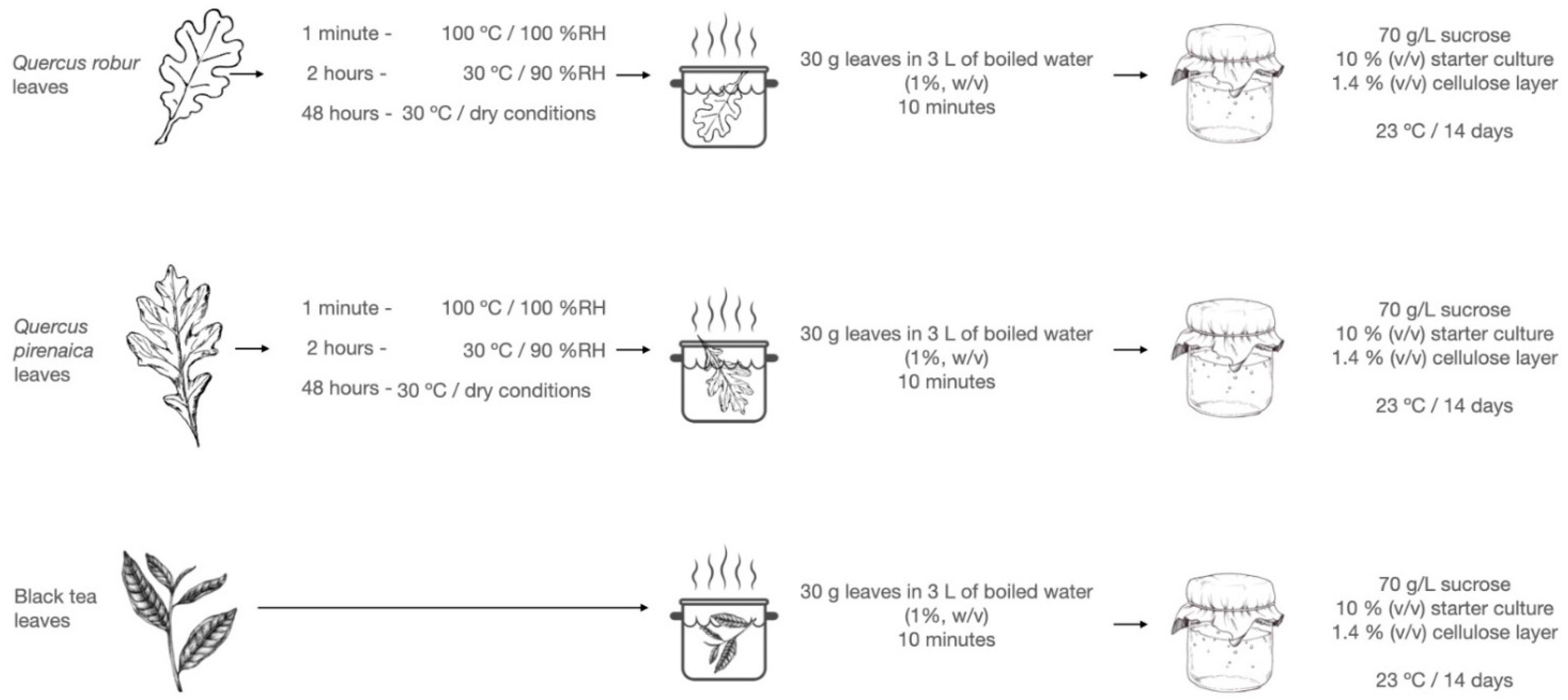 Fermentation 09 00863 g001