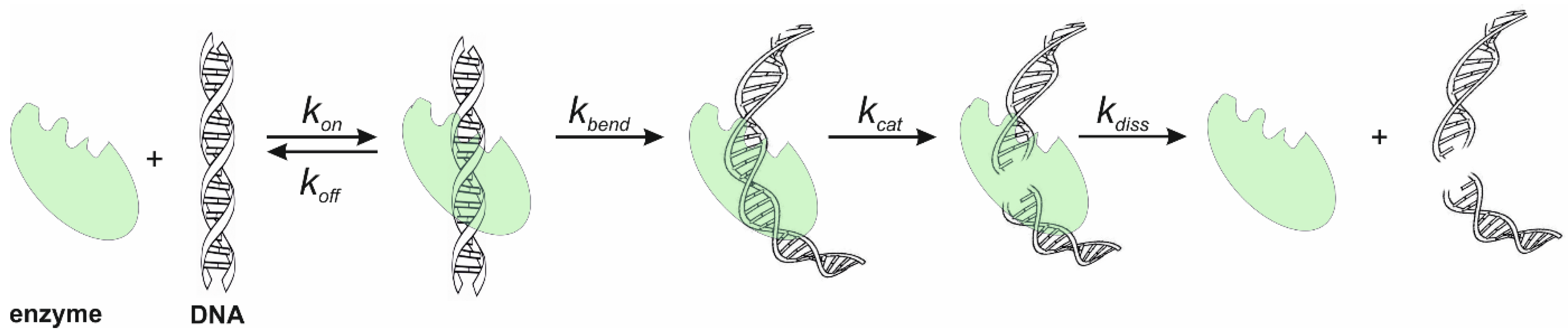 Fermentation 09 00874 g001 Fermentation 09 00874 g001