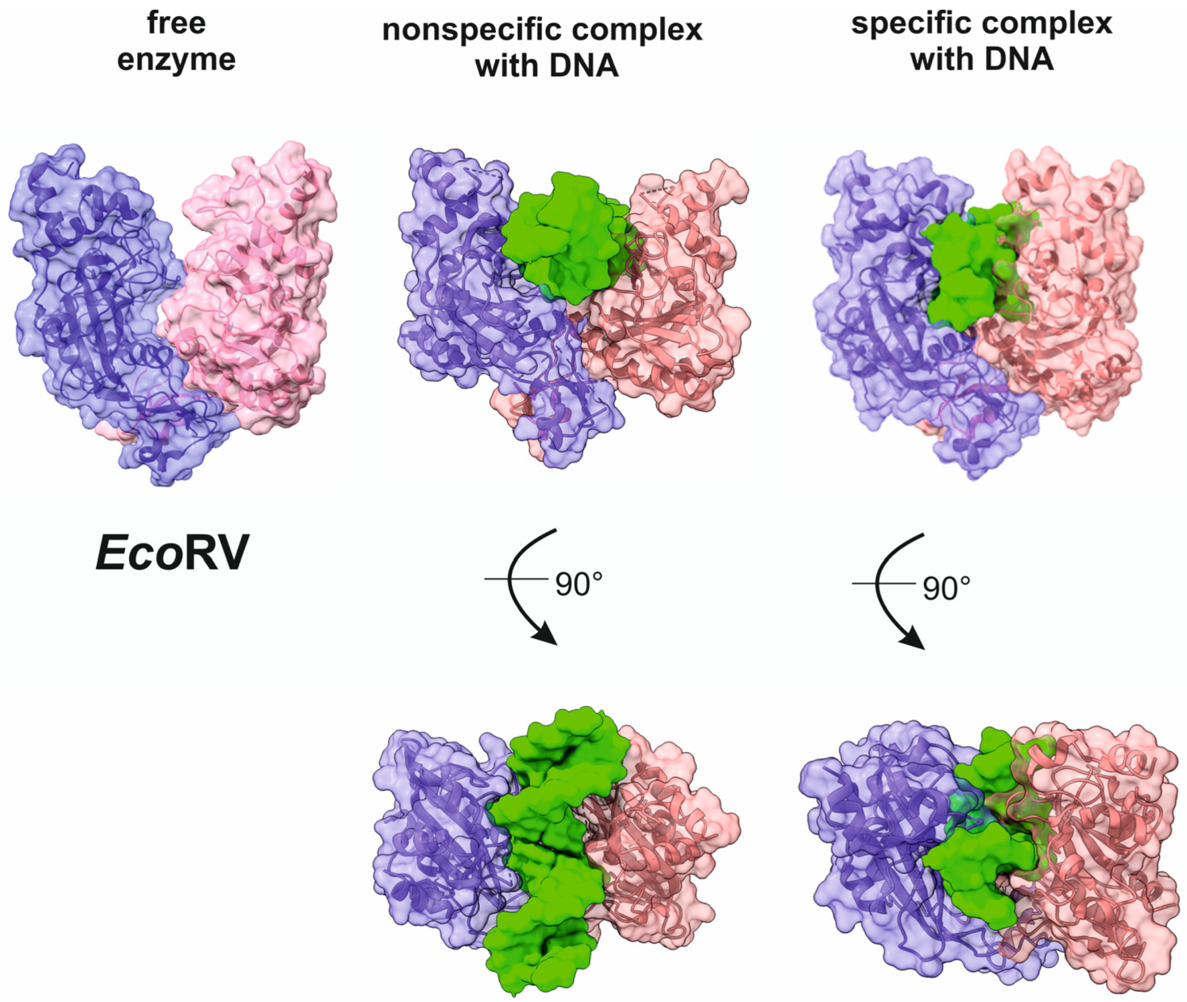 Fermentation 09 00874 g002 Fermentation 09 00874 g002