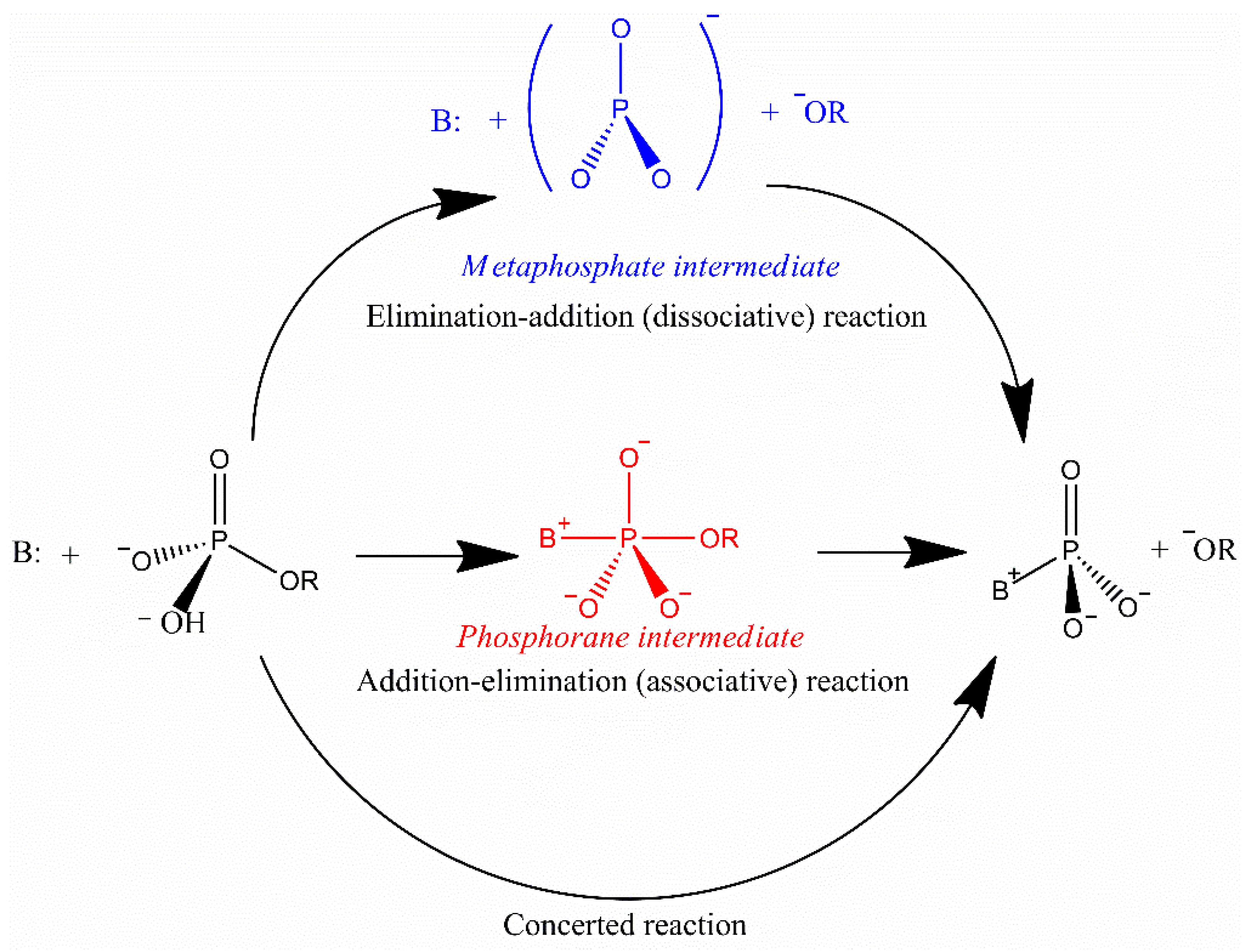 Fermentation 09 00874 g003 Fermentation 09 00874 g003