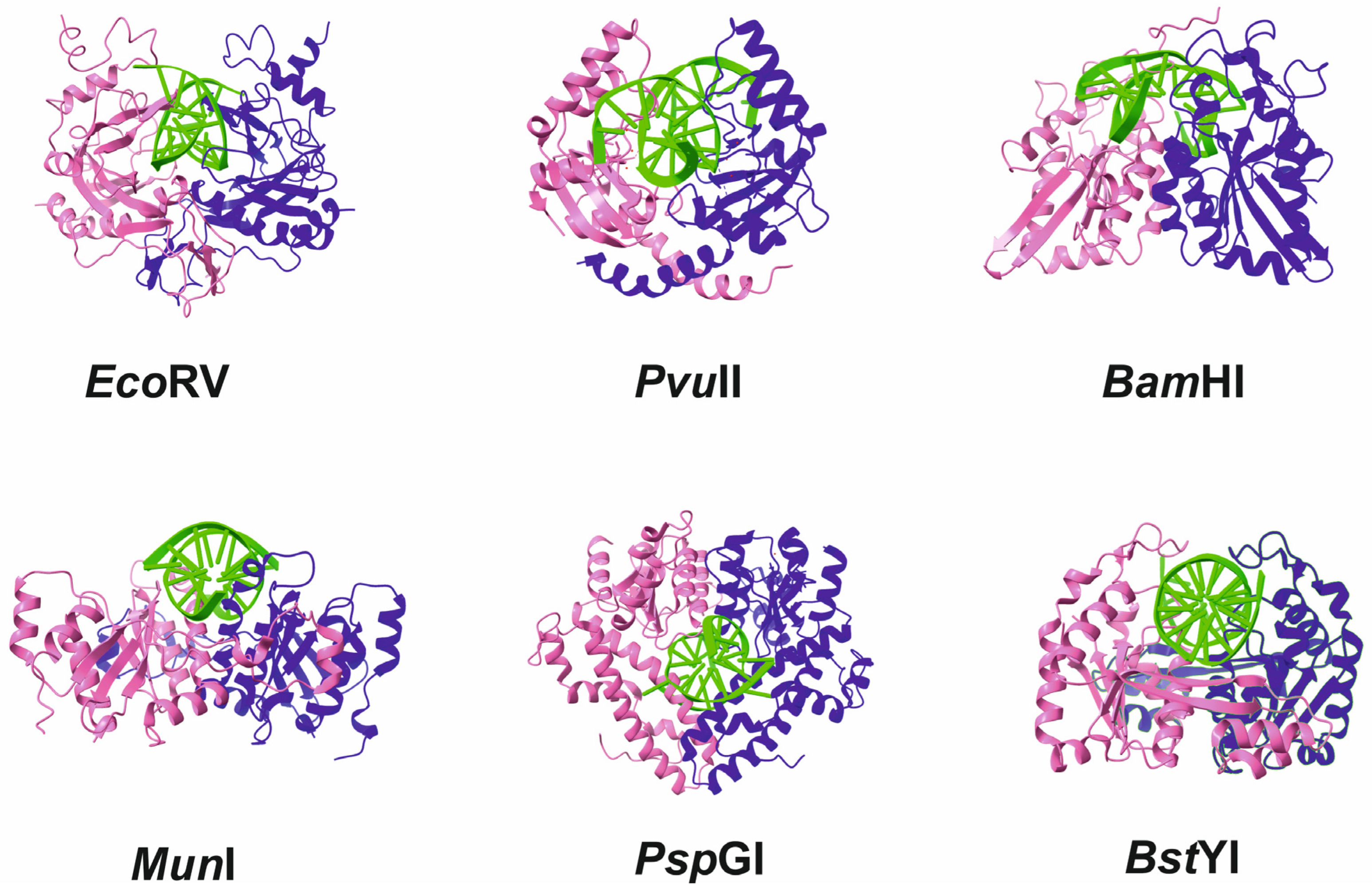 Fermentation 09 00874 g004 Fermentation 09 00874 g004