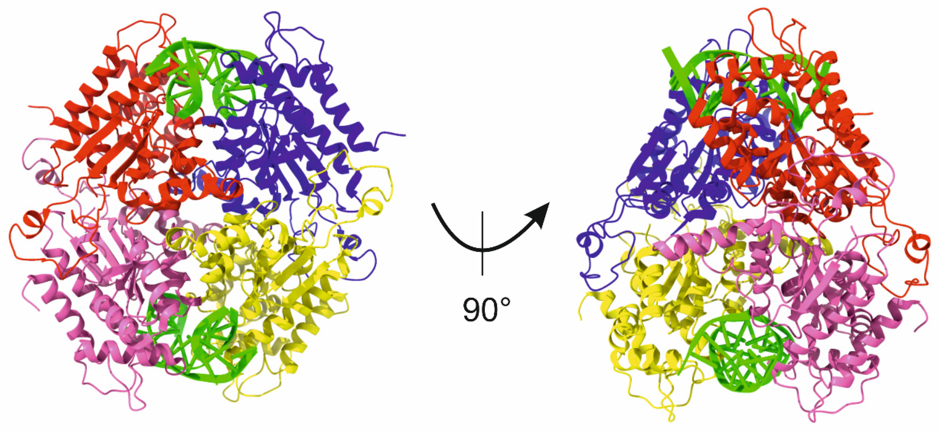 Fermentation 09 00874 g006 Fermentation 09 00874 g006