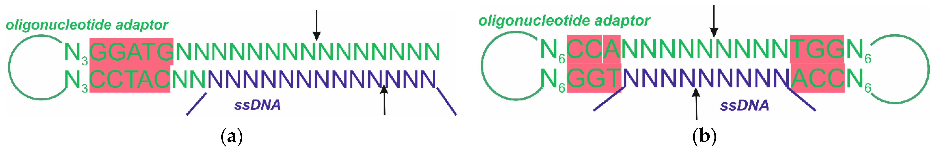 Fermentation 09 00874 g008 Fermentation 09 00874 g008