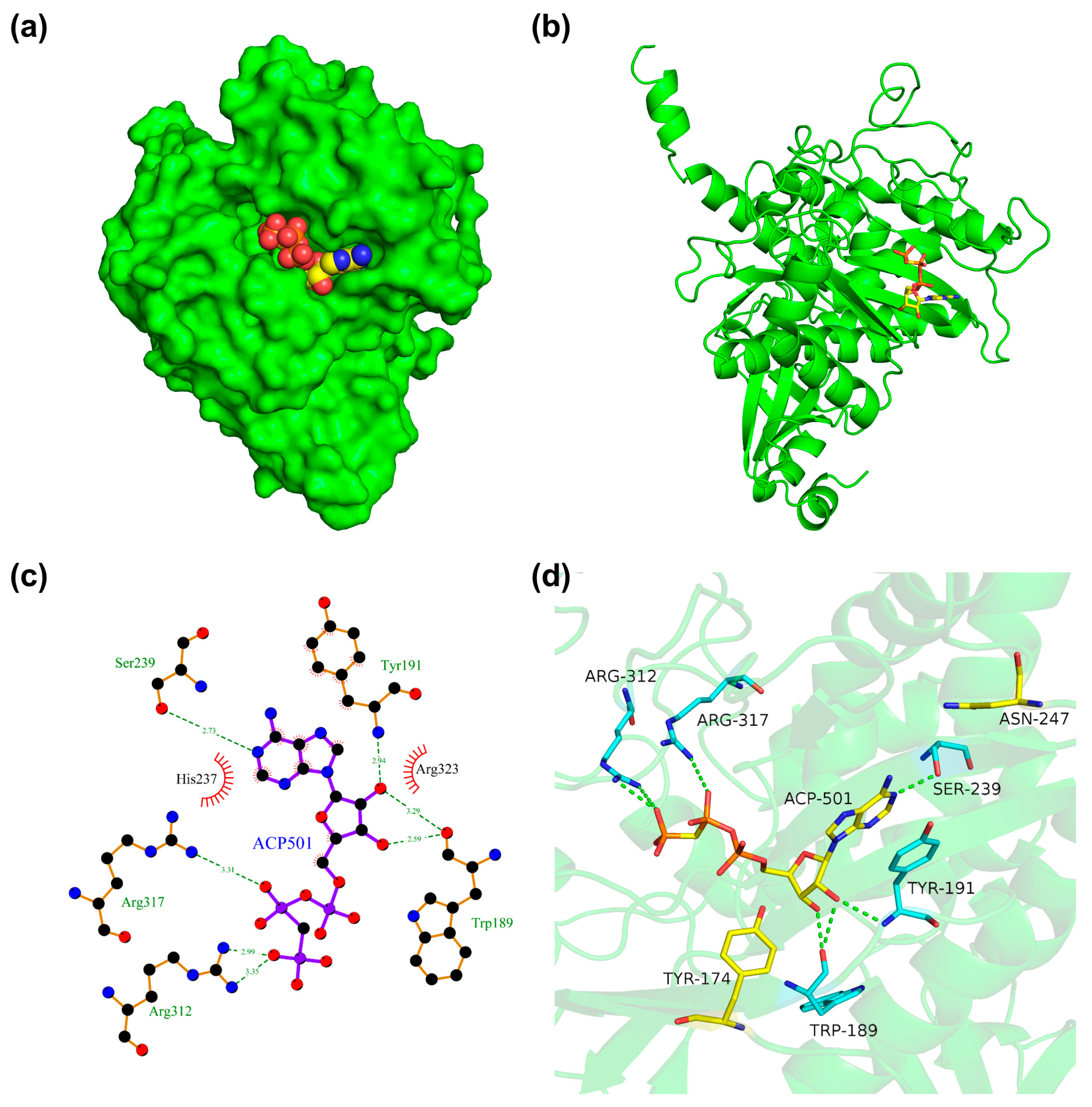 Fermentation 09 00875 g003