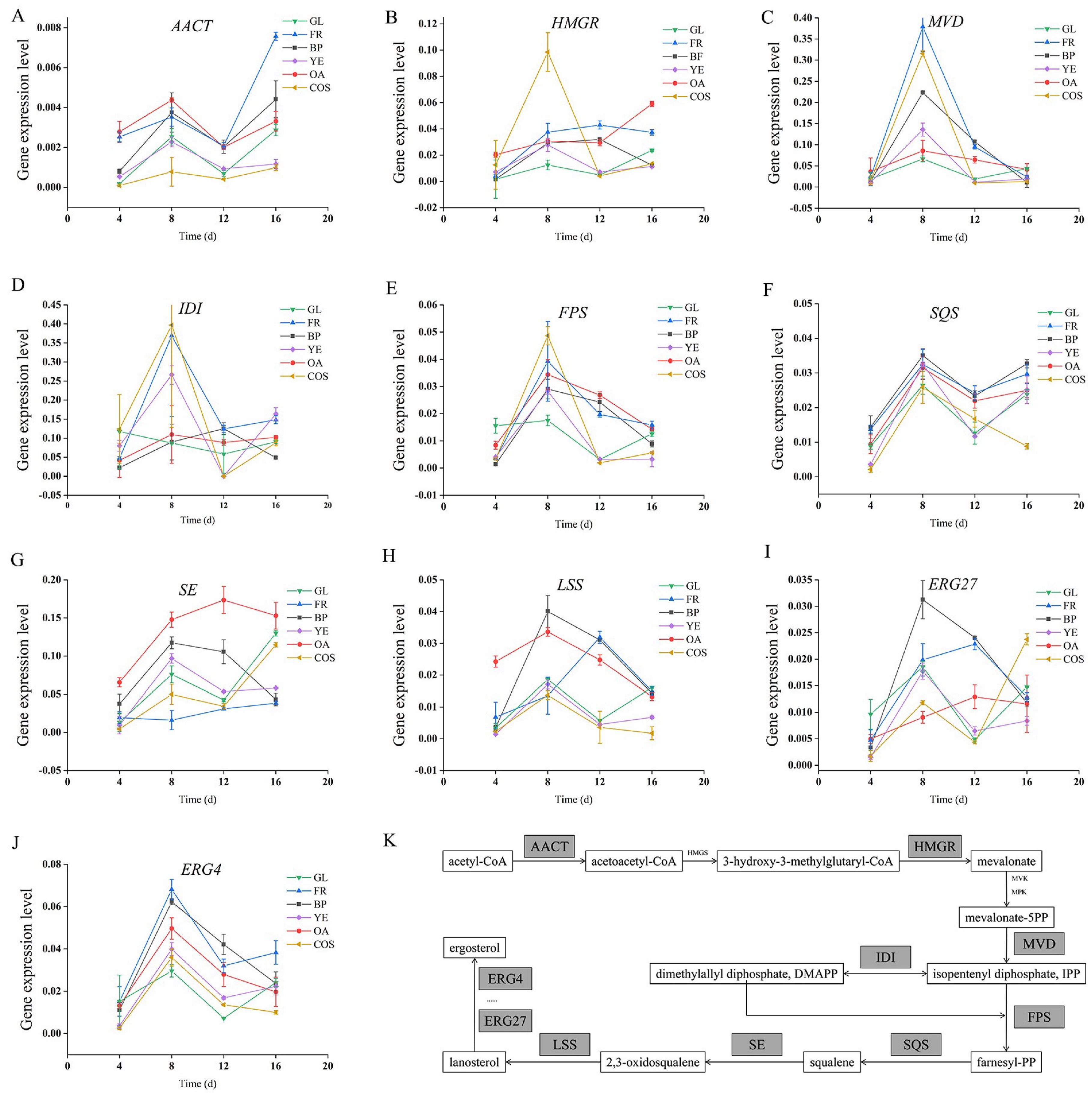Fermentation 09 00880 g002