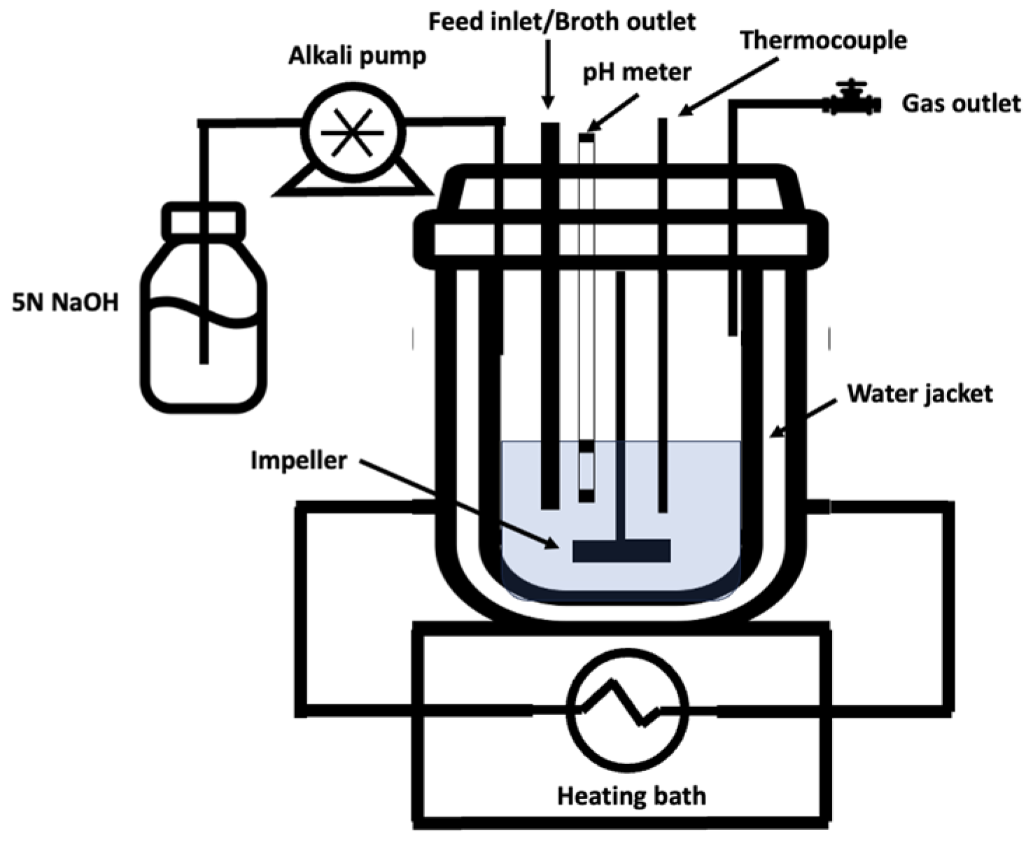 Fermentation 09 00885 g001