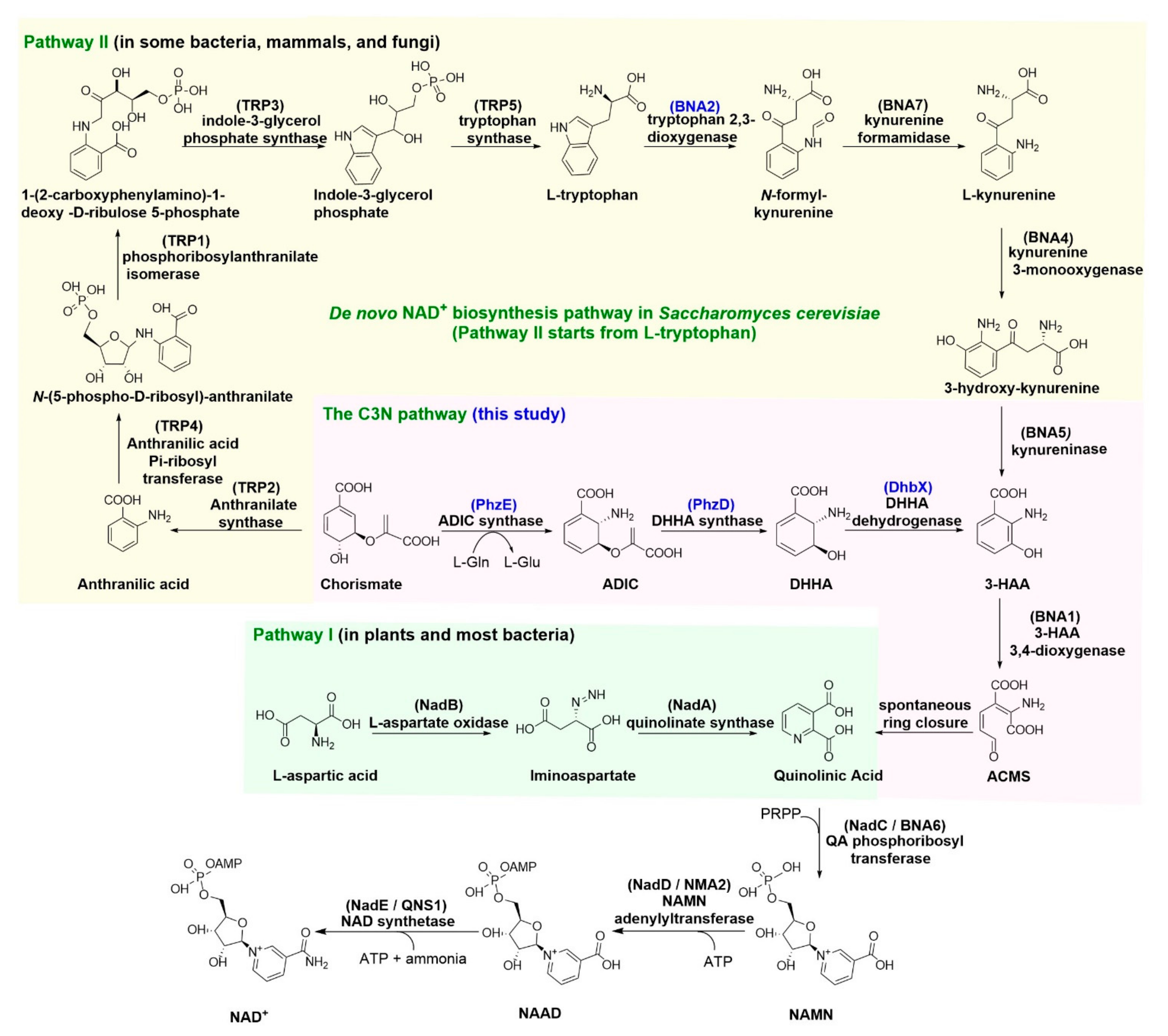 Fermentation 09 00886 g001