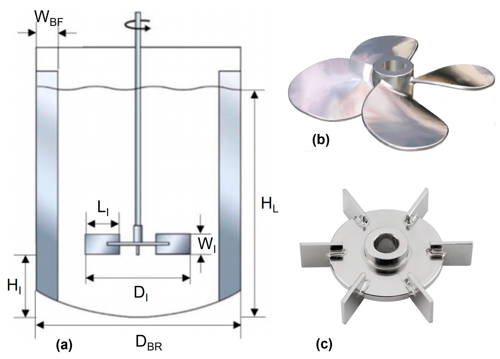 Fermentation 09 00888 g001