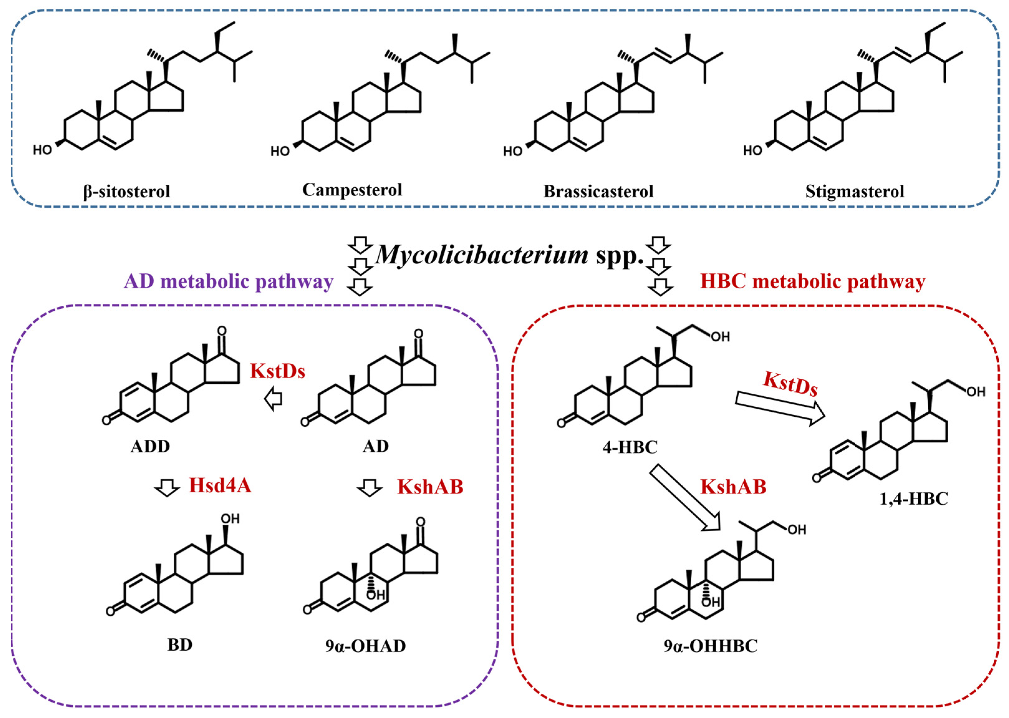 Fermentation 09 00890 g004