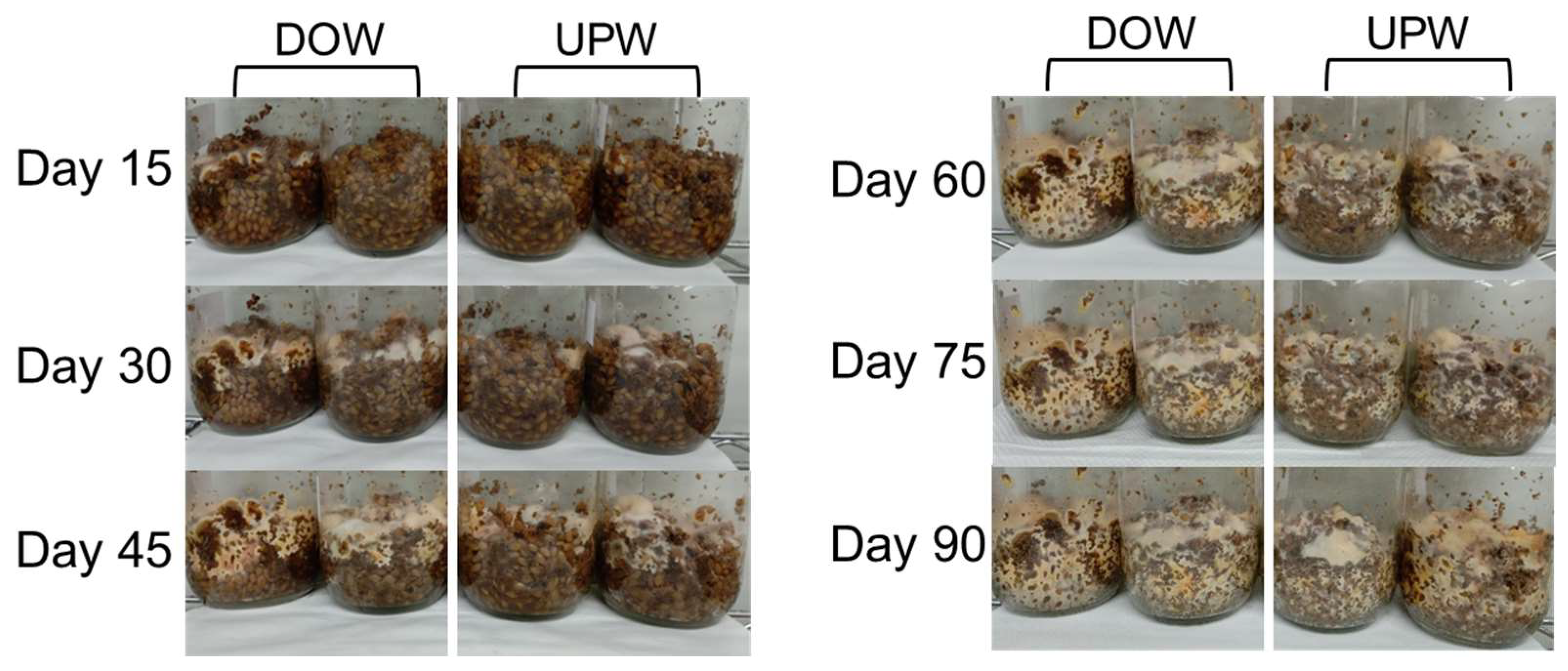 Fermentation 09 00893 g001
