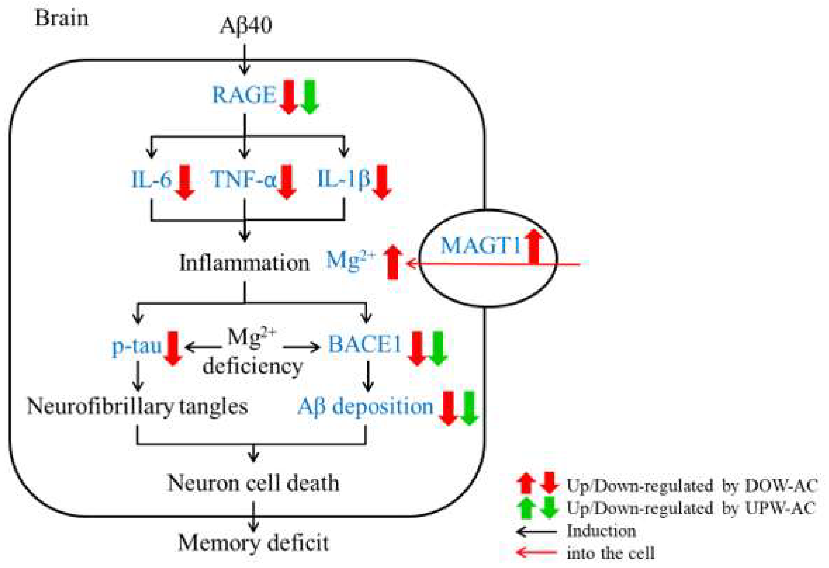 Fermentation 09 00893 g010
