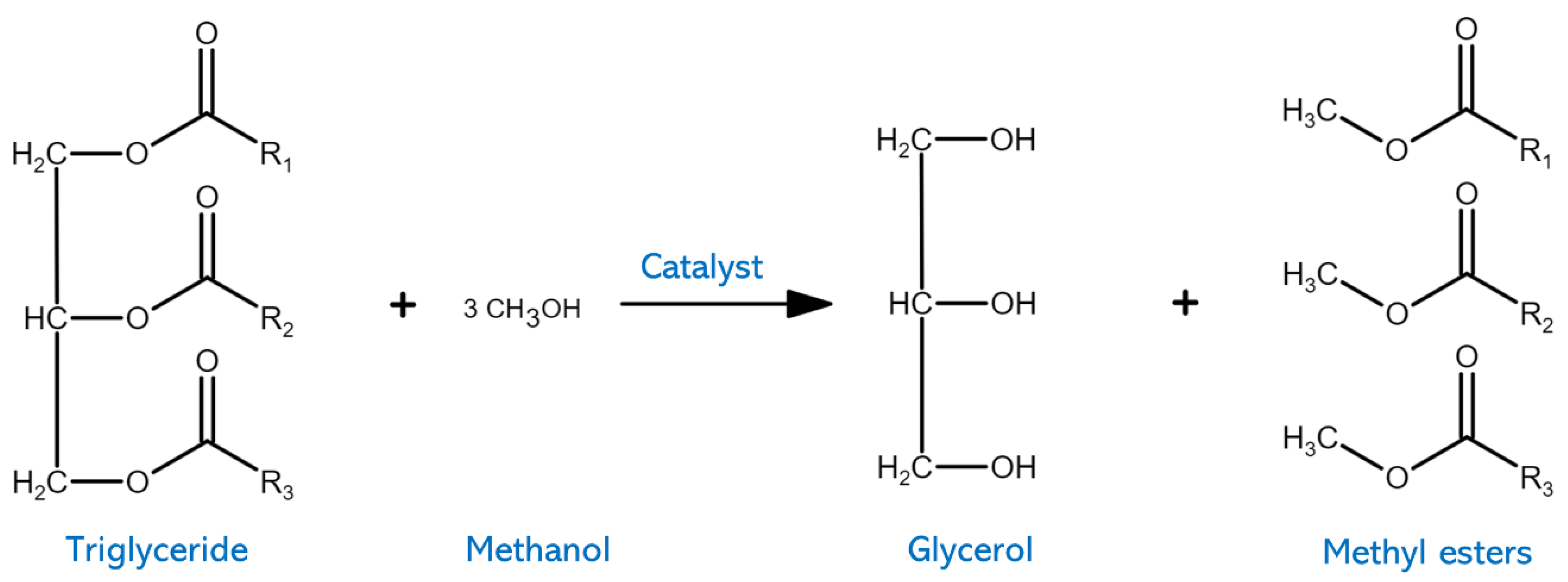 Fermentation 09 00894 g003