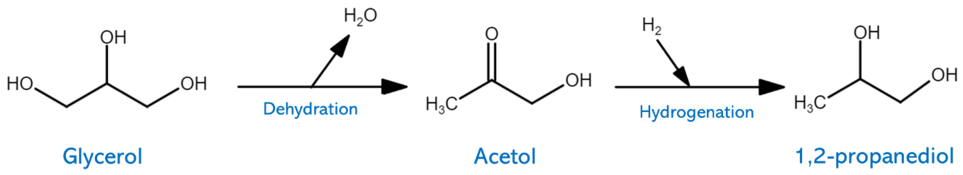Fermentation 09 00894 g007