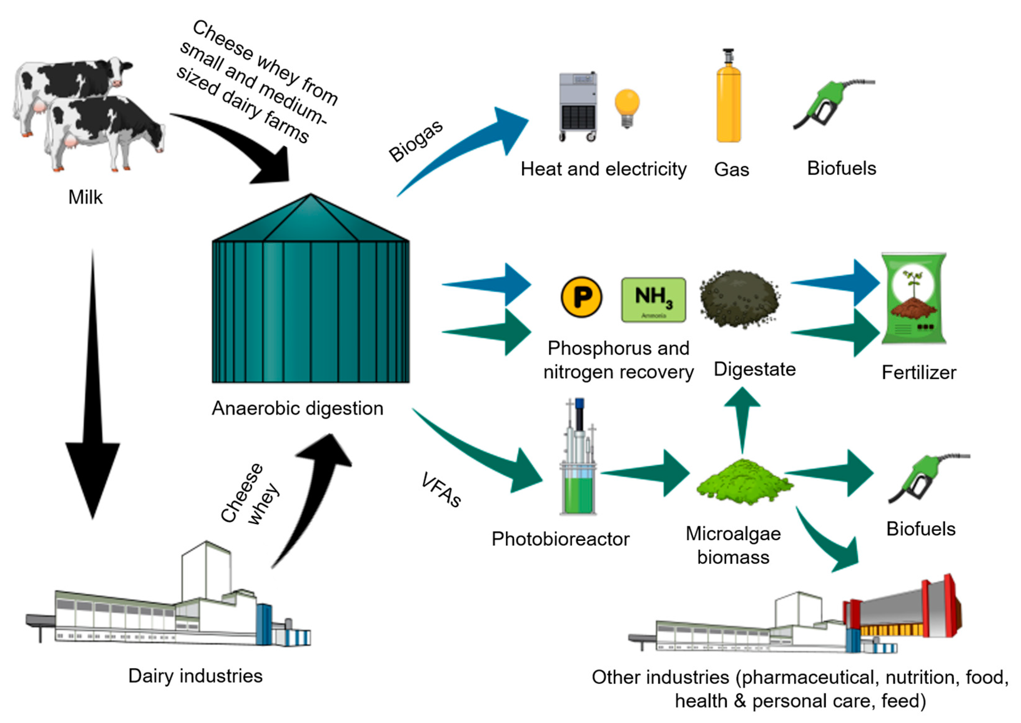 Fermentation 09 00897 g002
