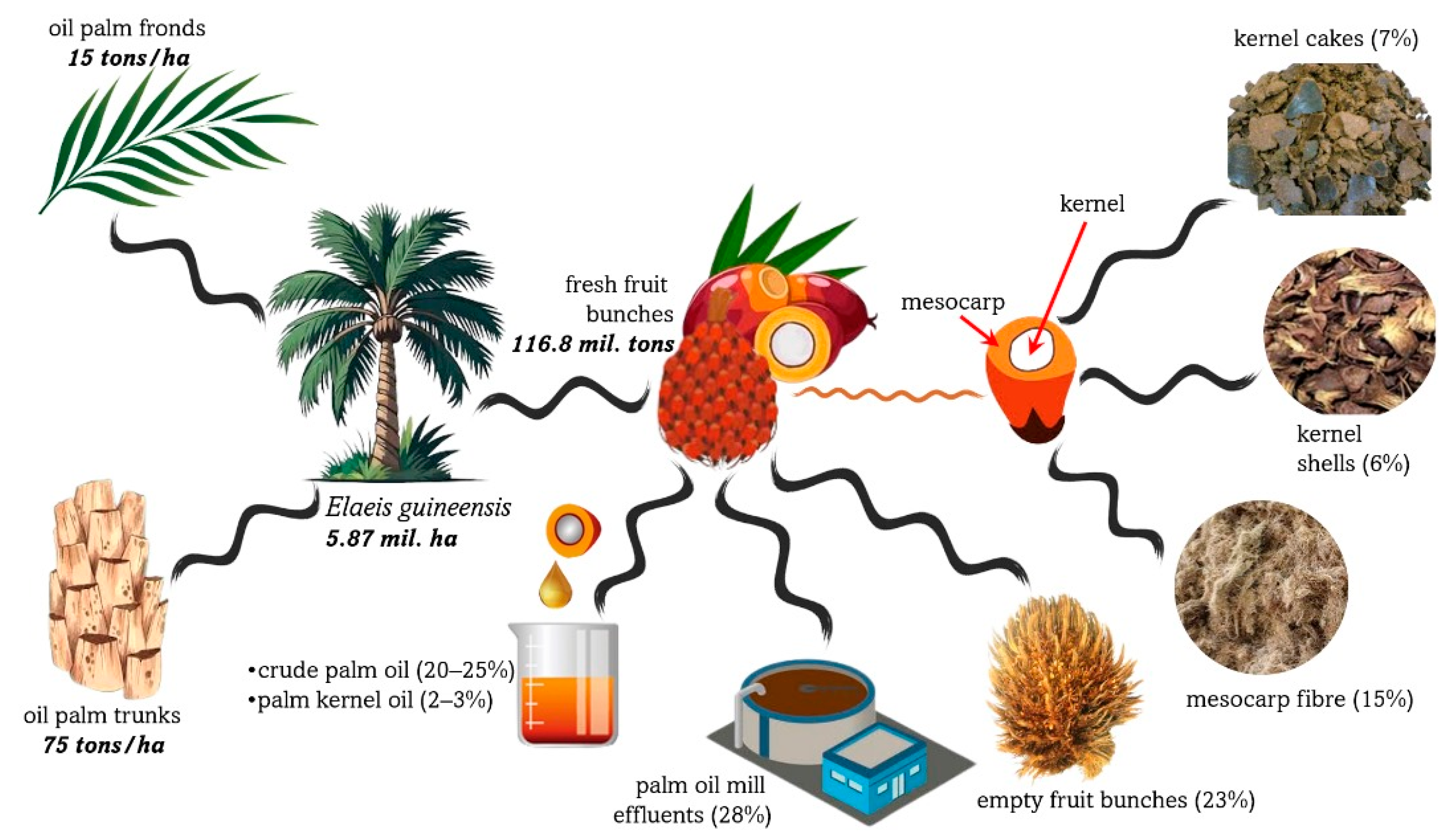 Fermentation 09 00905 g004