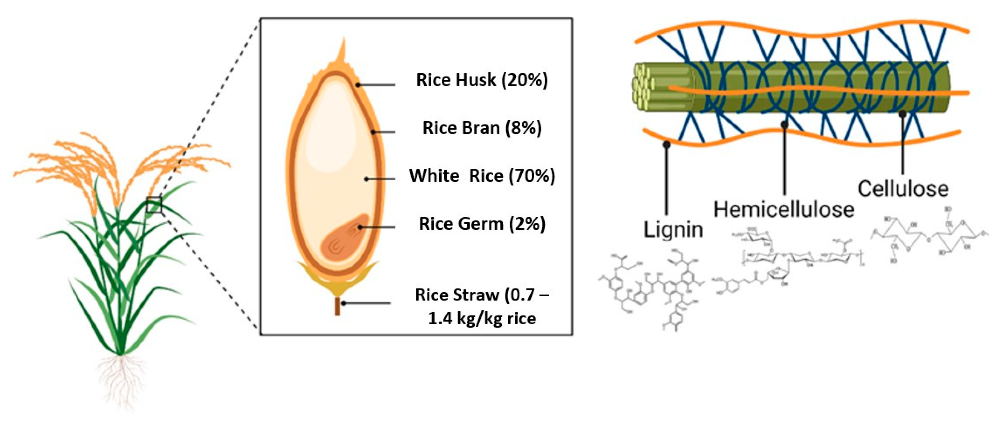 Fermentation 09 00905 g005