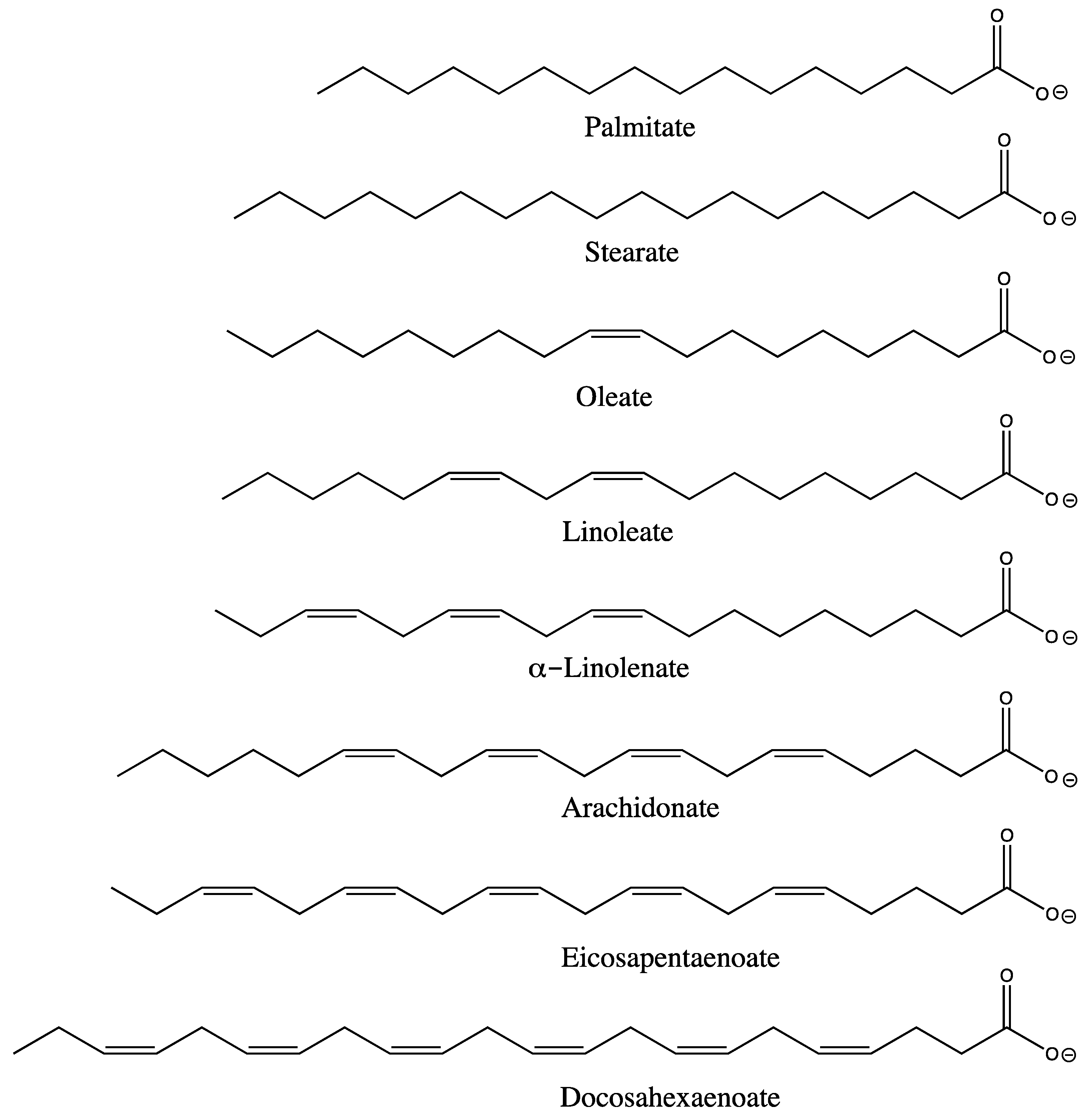 Fermentation 09 00907 g003