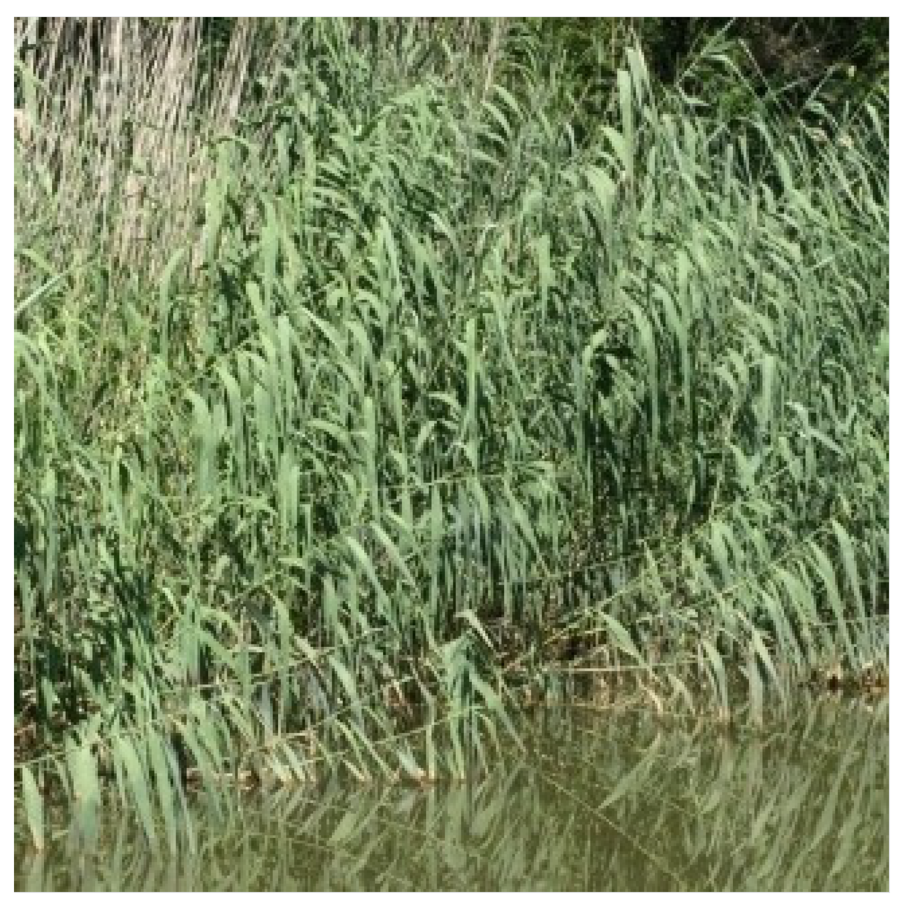 Fermentation 09 00908 g006