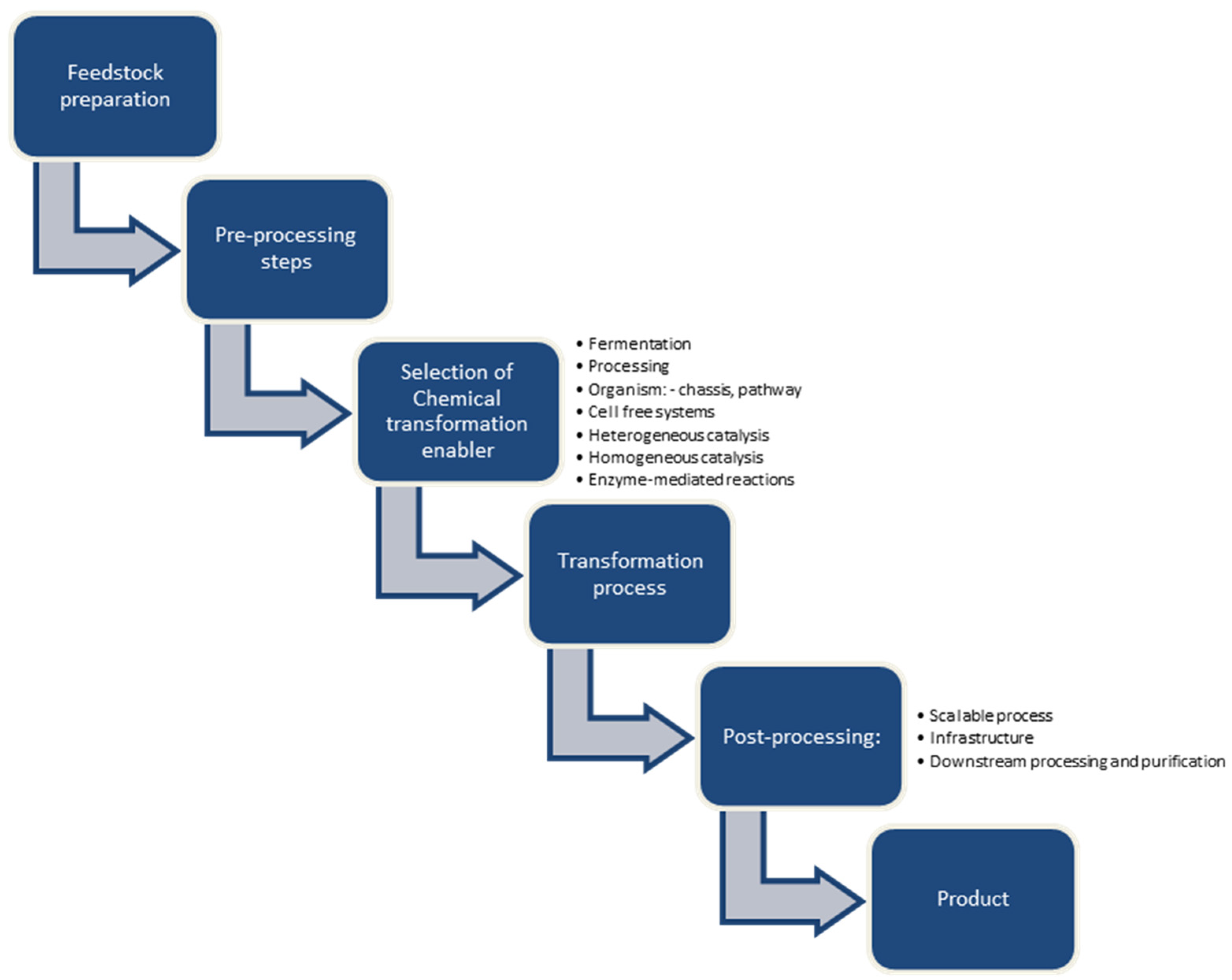 Fermentation 09 00908 g008