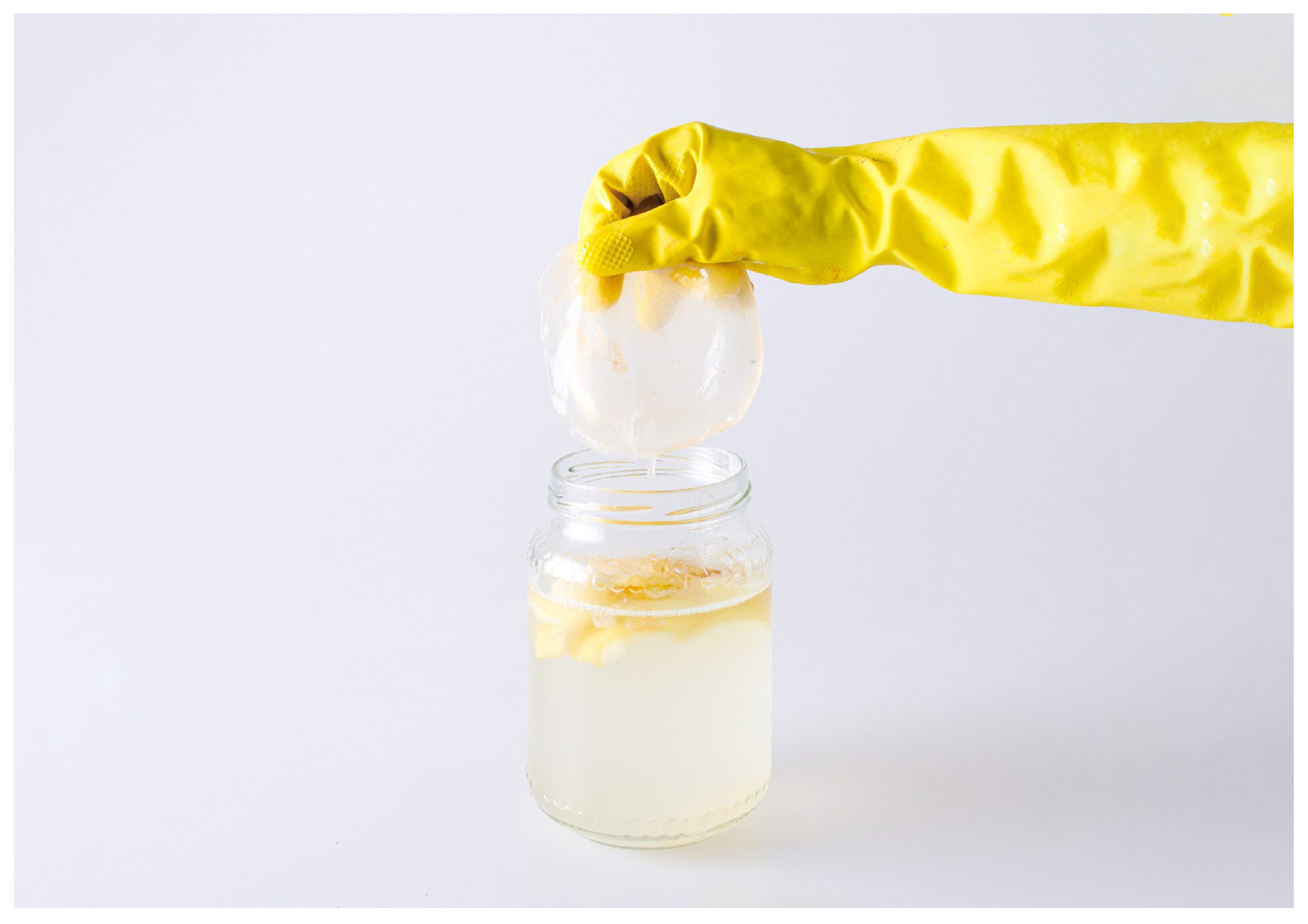 Fermentation 09 00915 g001