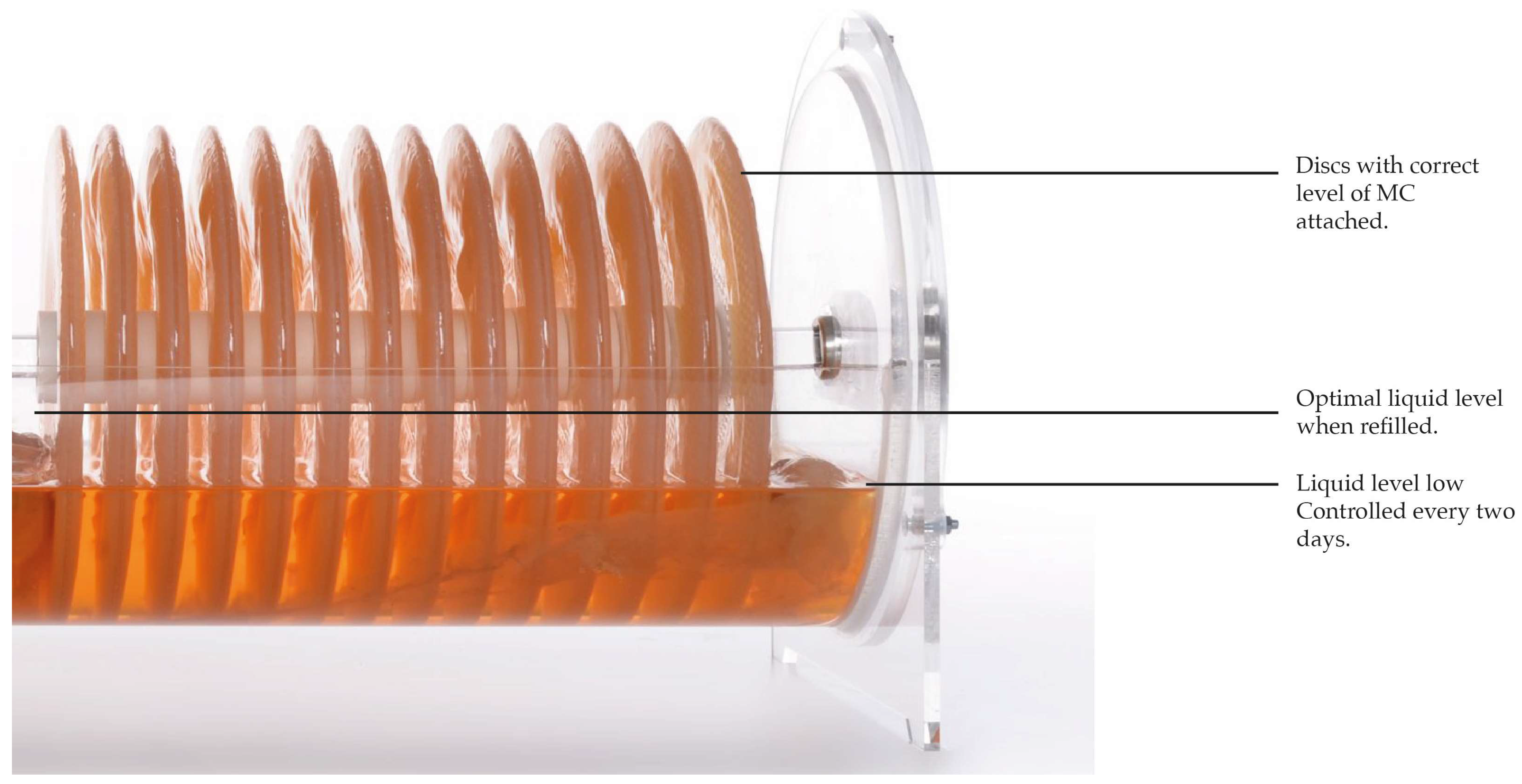 Fermentation 09 00915 g007