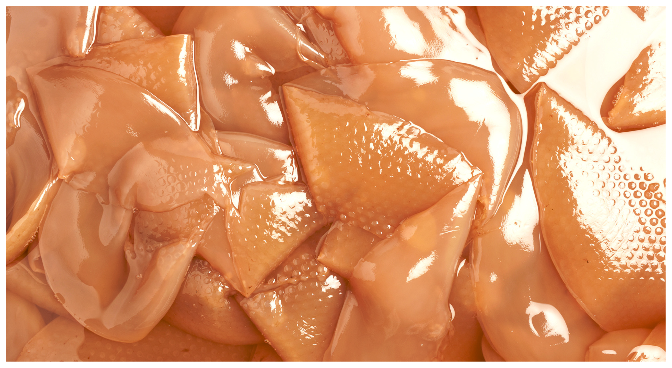 Fermentation 09 00915 g009