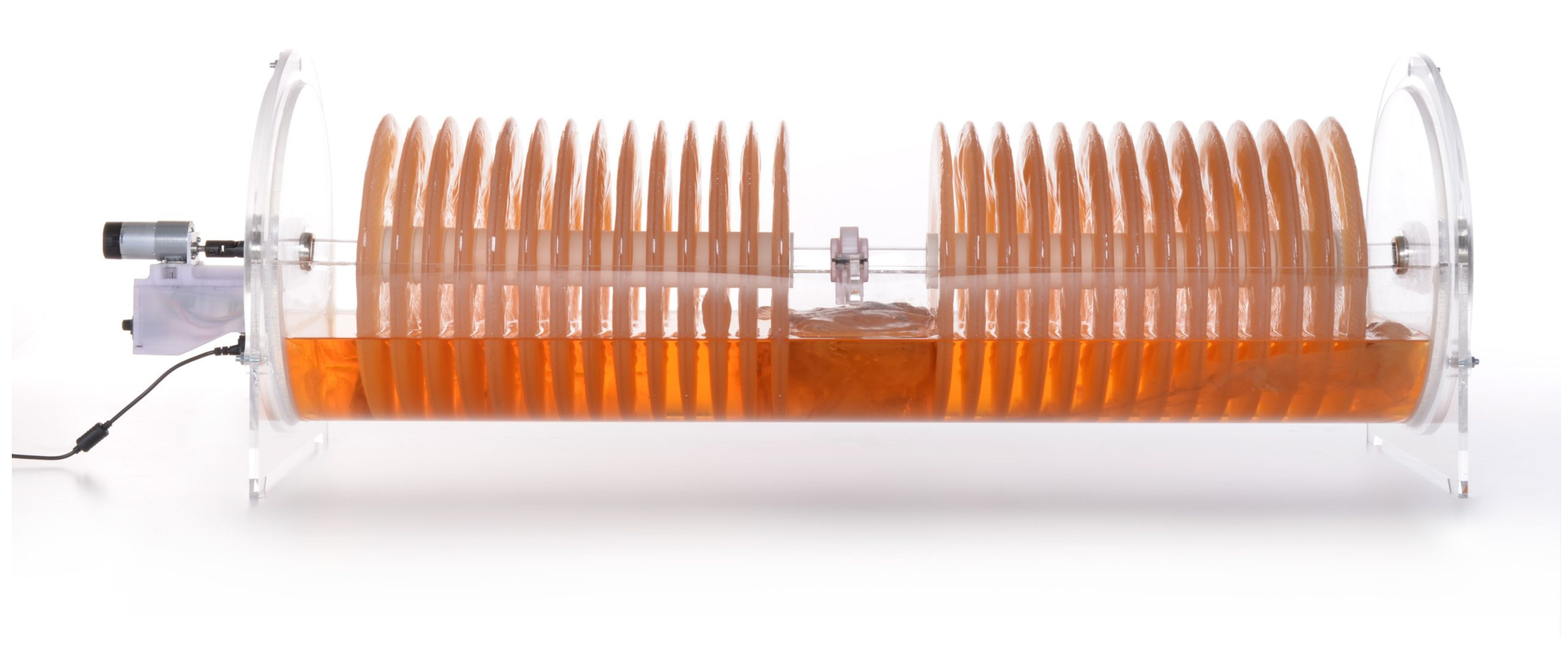 Fermentation 09 00915 g010