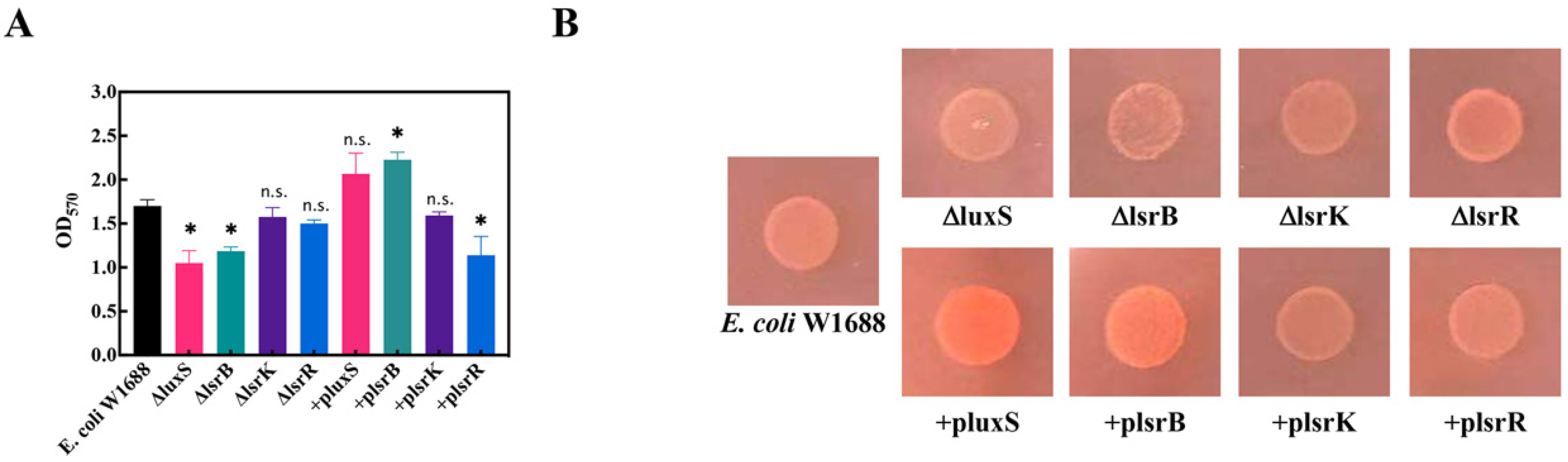 Fermentation 09 00916 g002