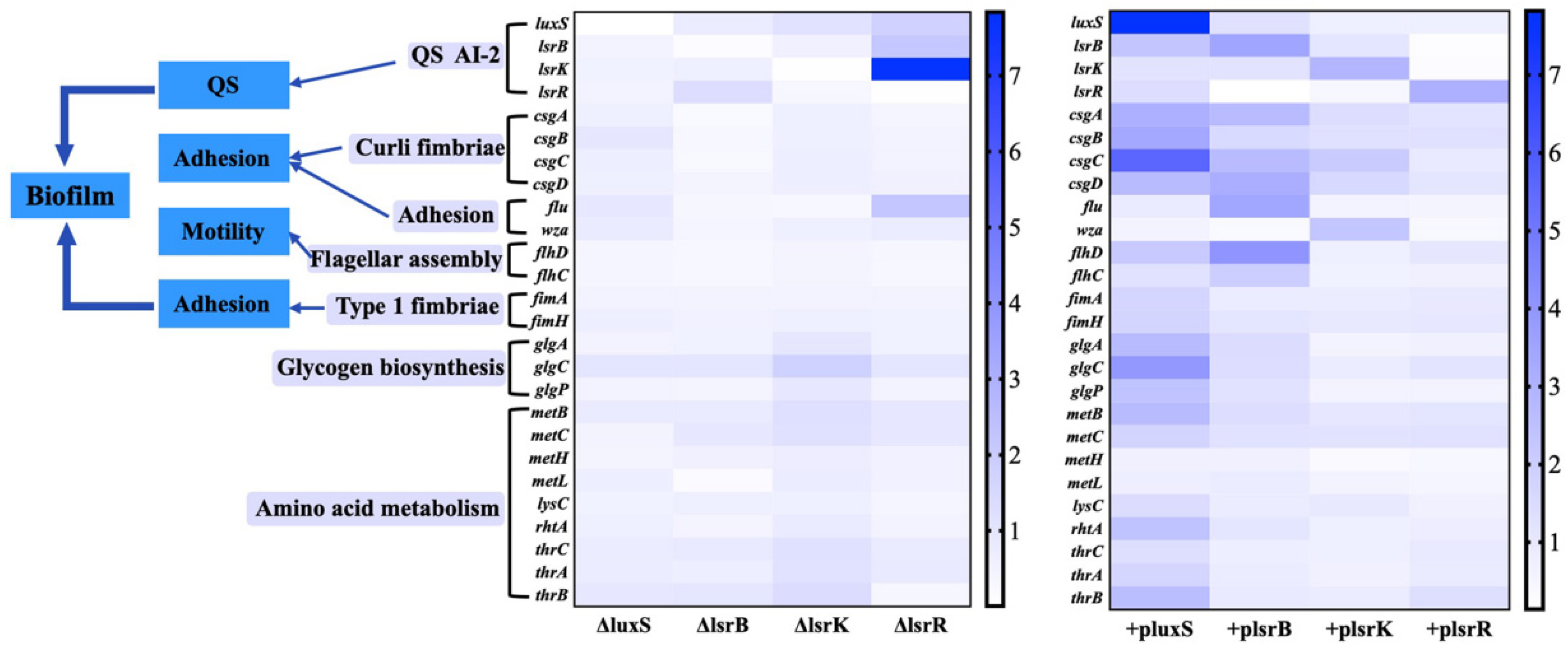 Fermentation 09 00916 g004
